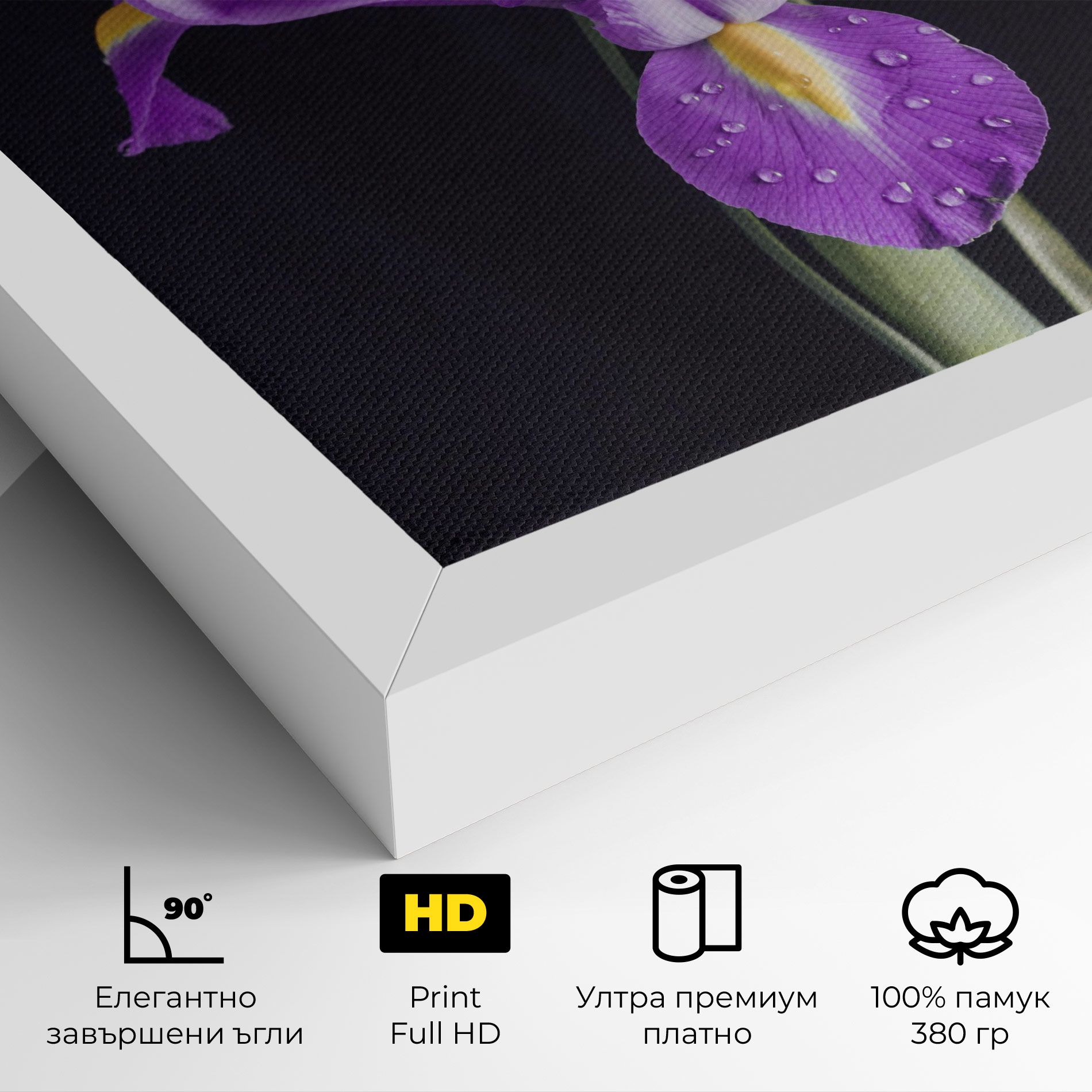 Fresh Purple Iris mockup 4