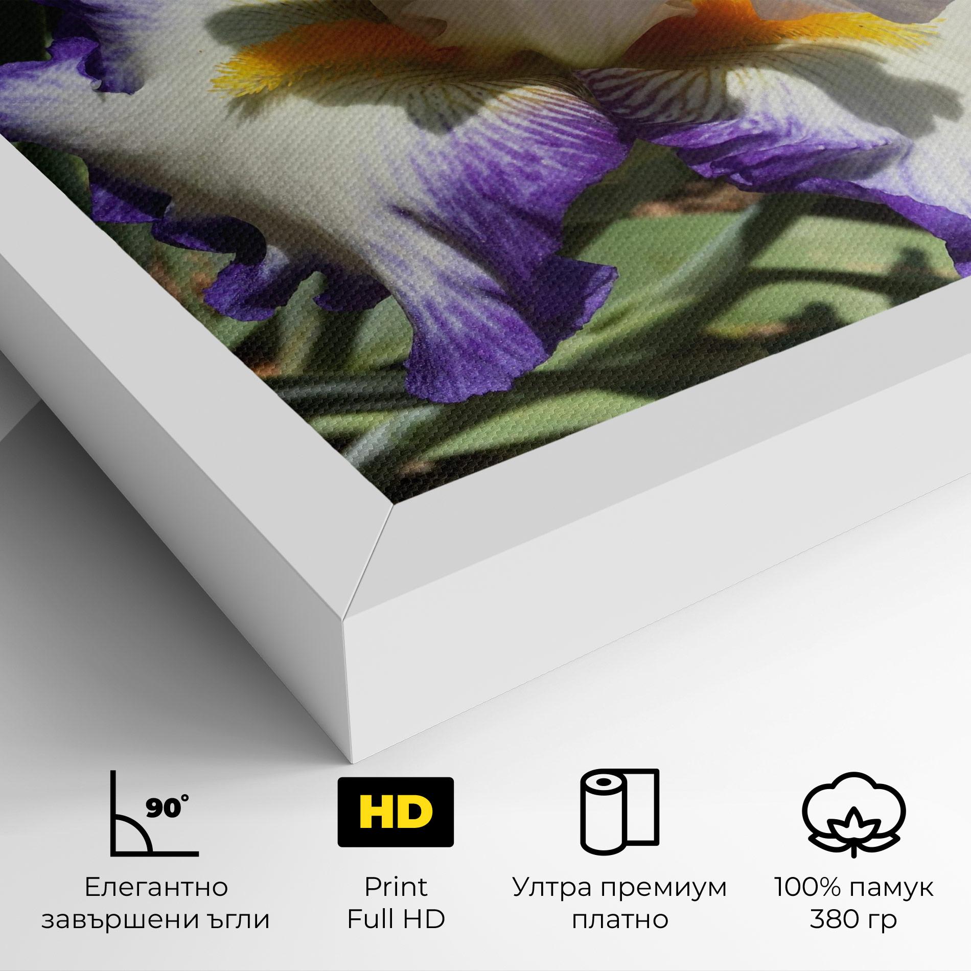 Картина на платно Garden White Purple Irirs mockup 4