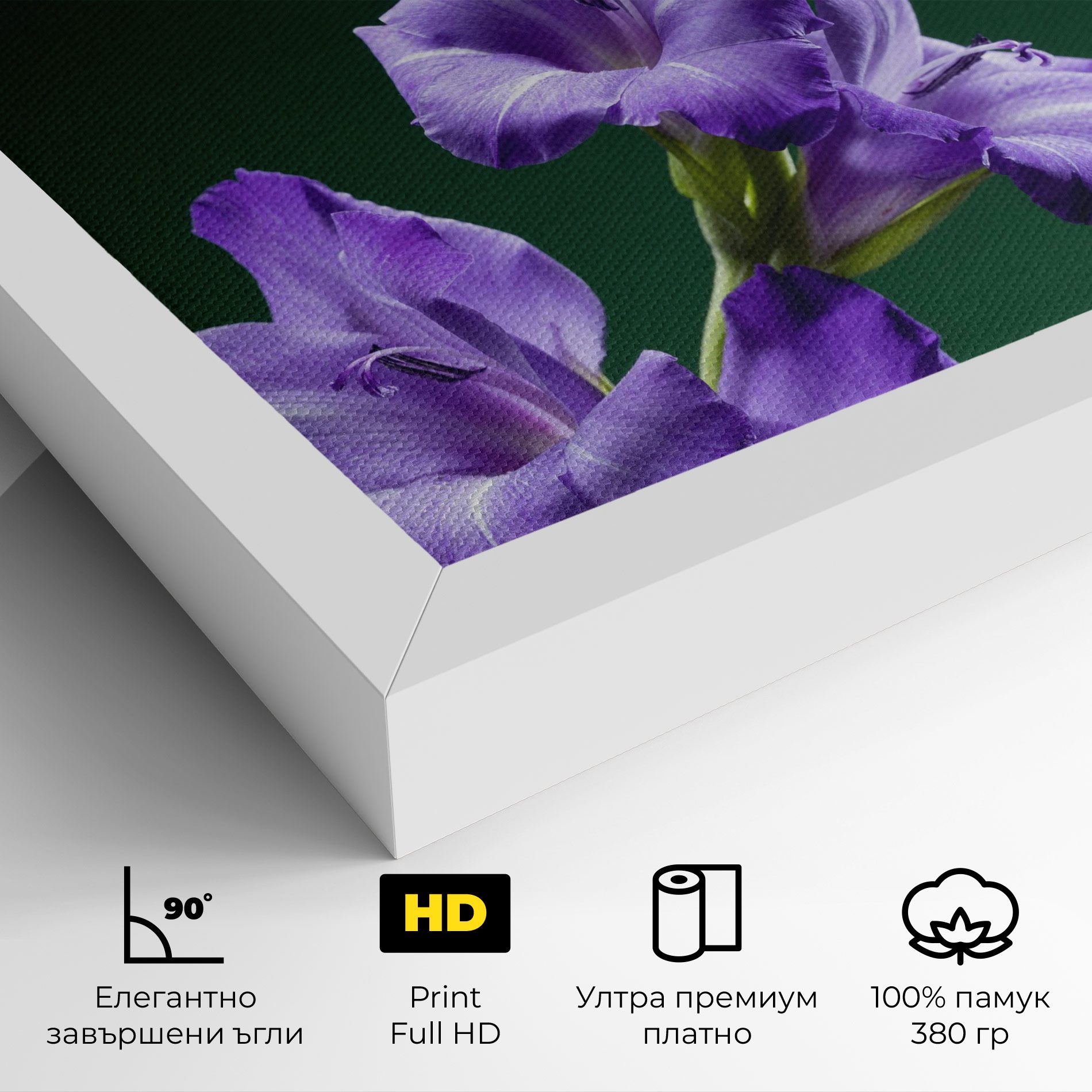 Iris On Green mockup 4