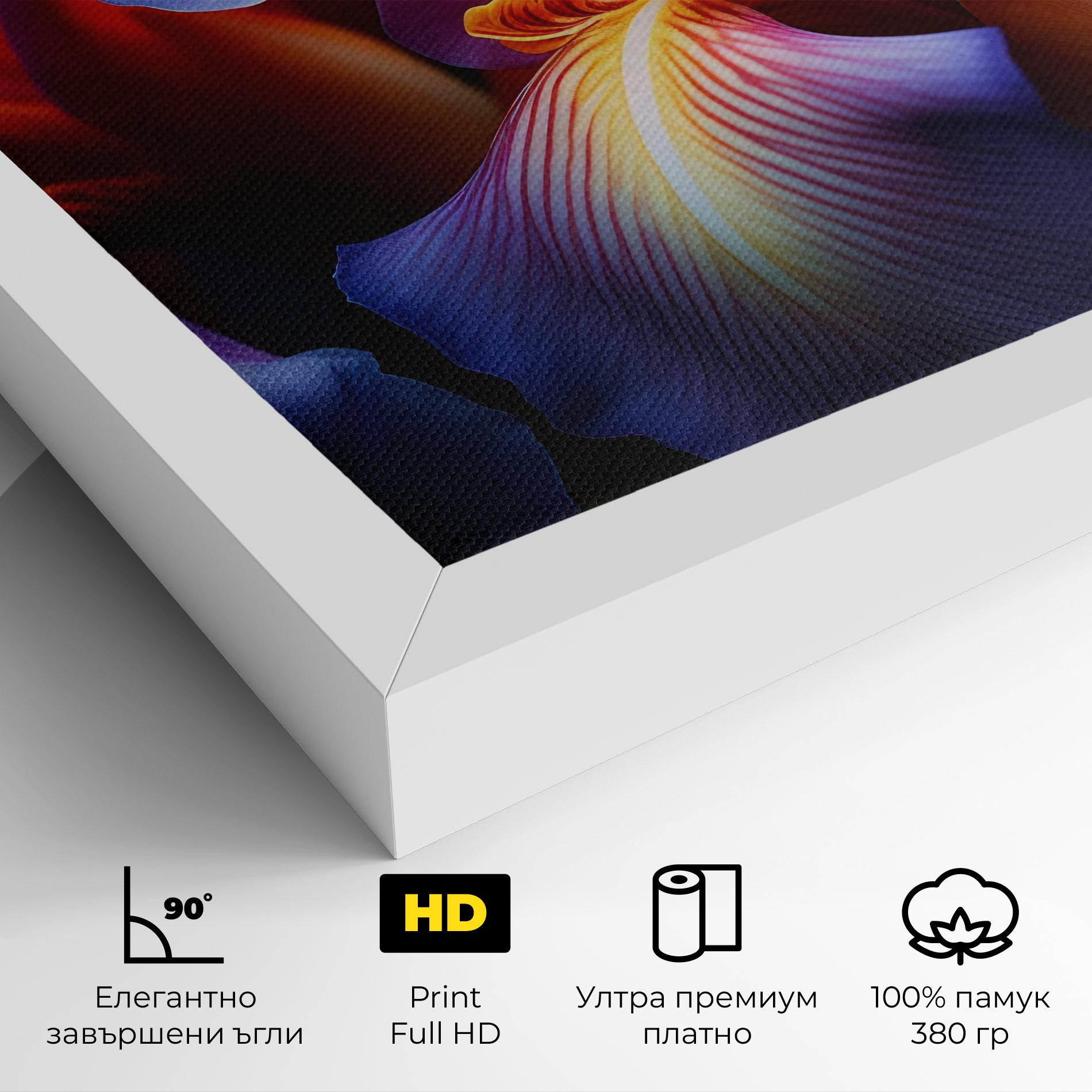 Картина на платно Orange Purple Iris mockup 4