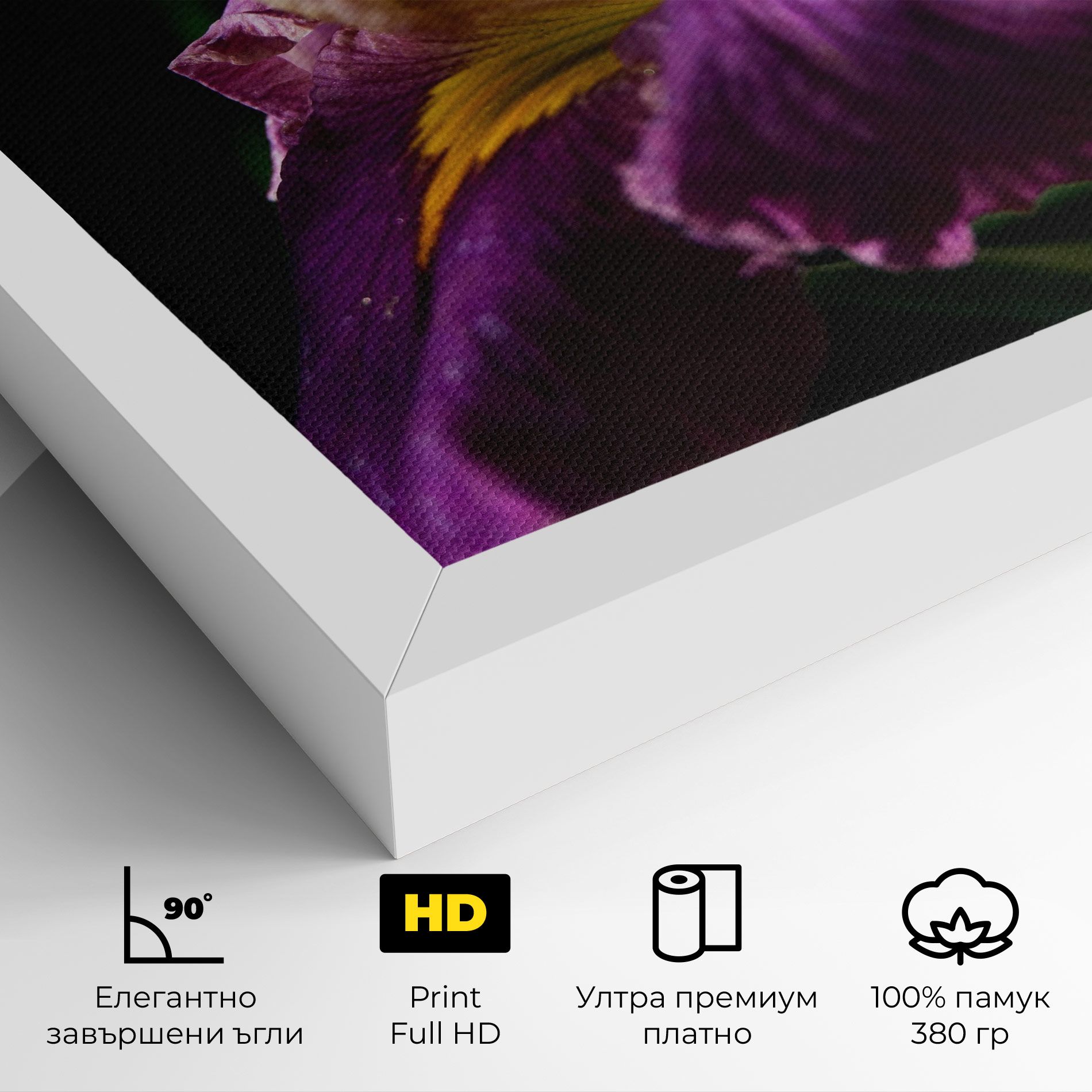 Pastel Yellow Iris mockup 4