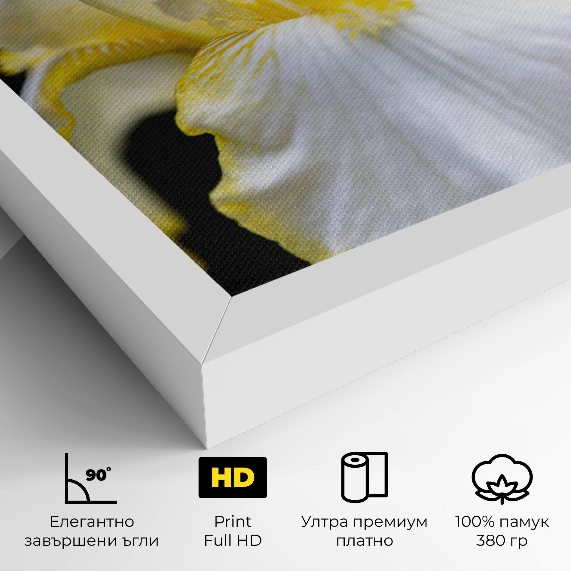 White Yellow Iris mockup 4