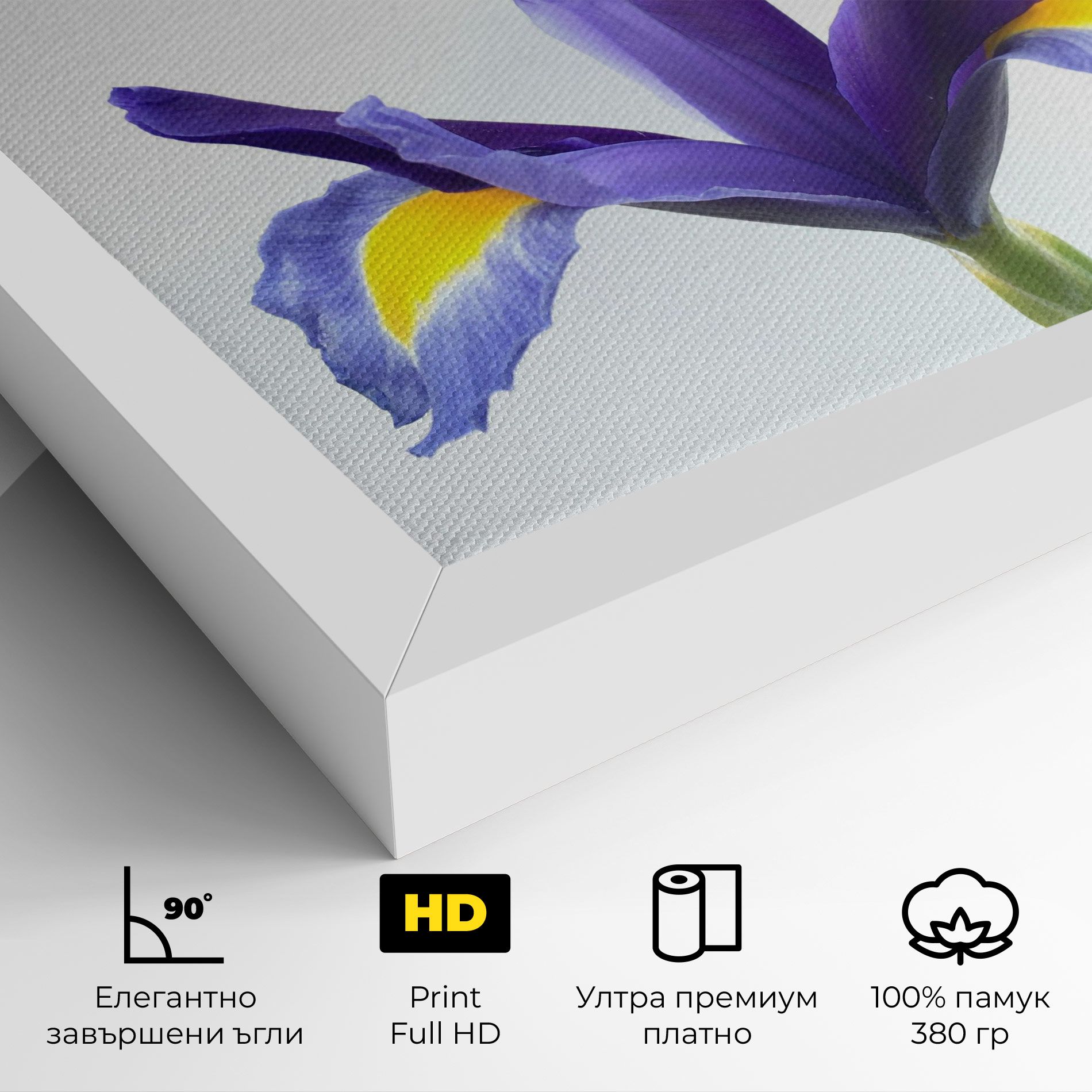 Yellow Color Iris mockup 4