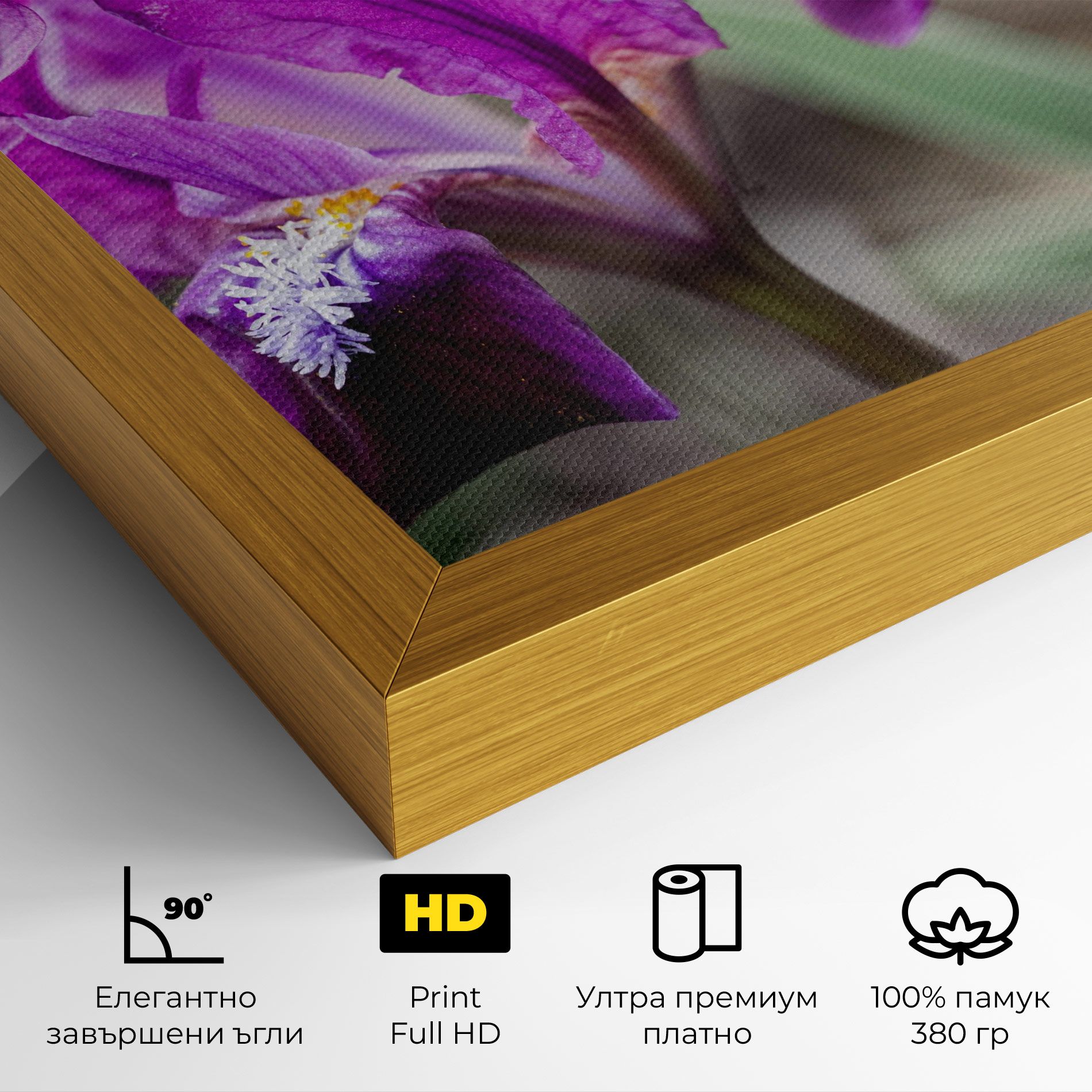 Dark Pink Iris mockup 4