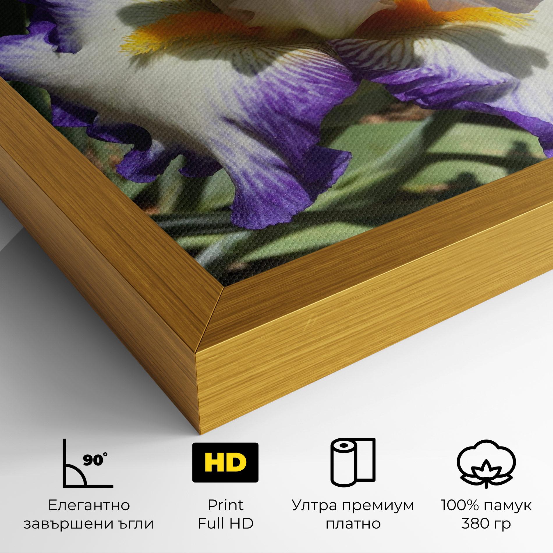 Картина на платно Garden White Purple Irirs mockup 4