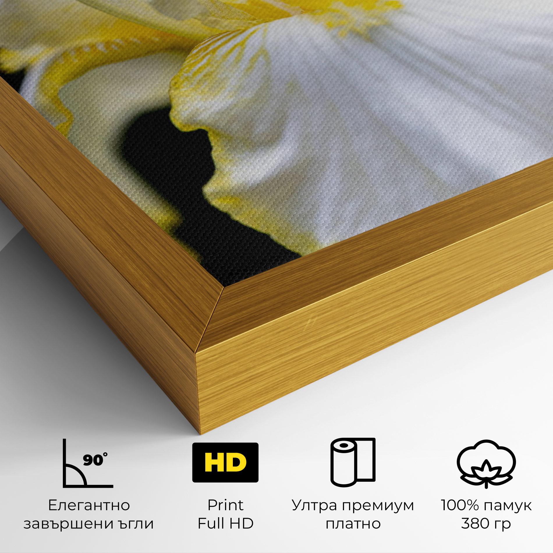 Картина на платно White Yellow Iris mockup 4