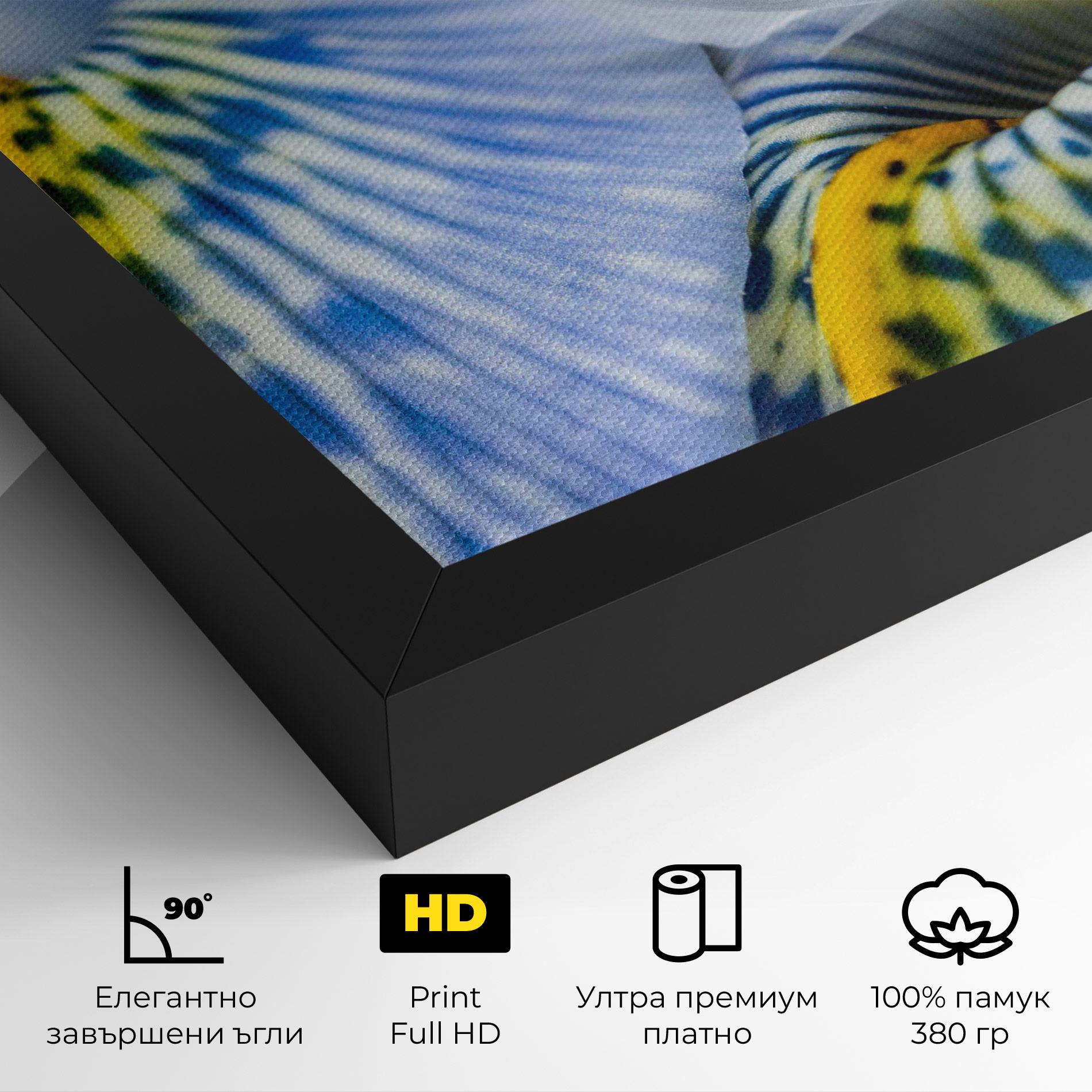 Картина на платно Blue Yellow Iris mockup 4