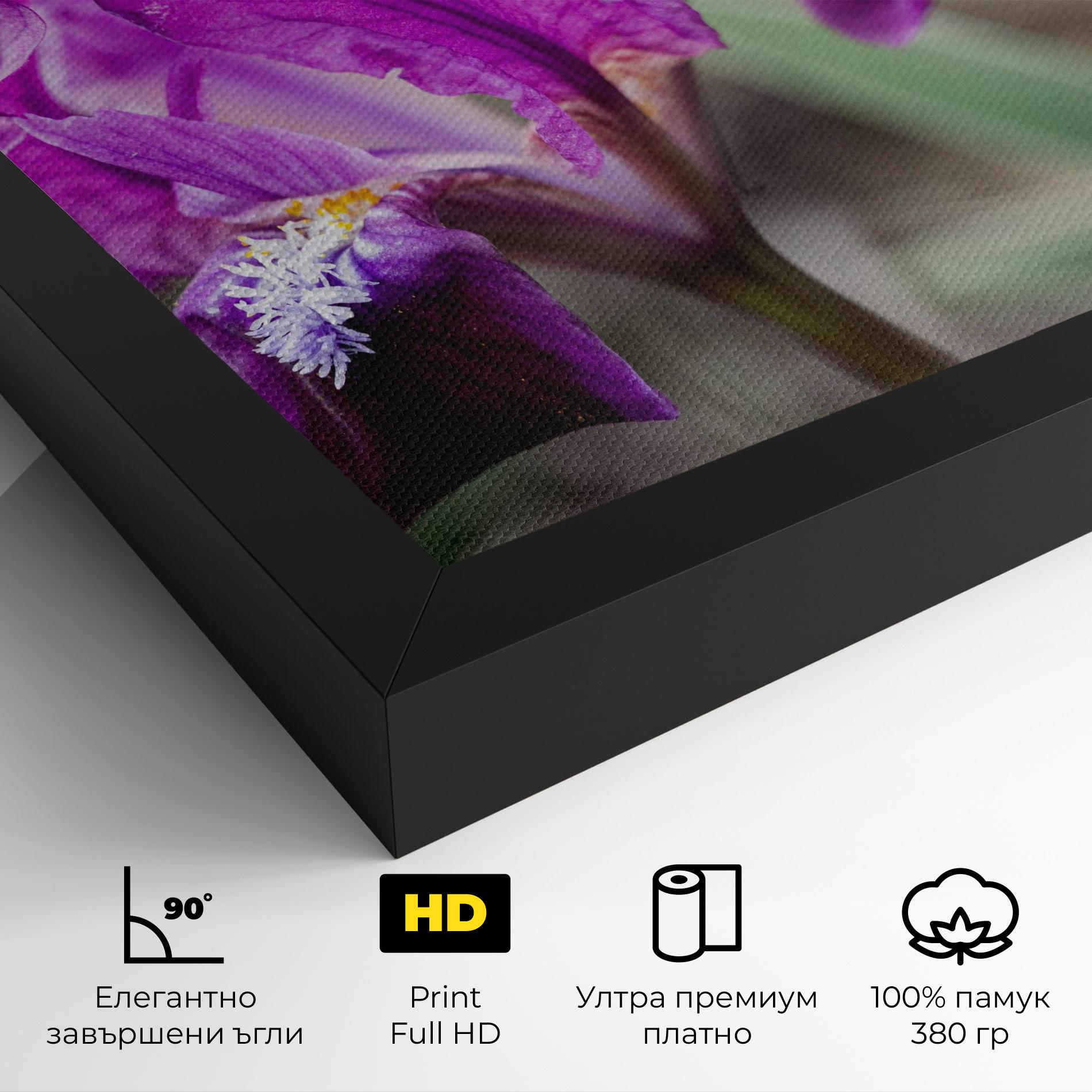 Картина на платно Dark Pink Iris mockup 4