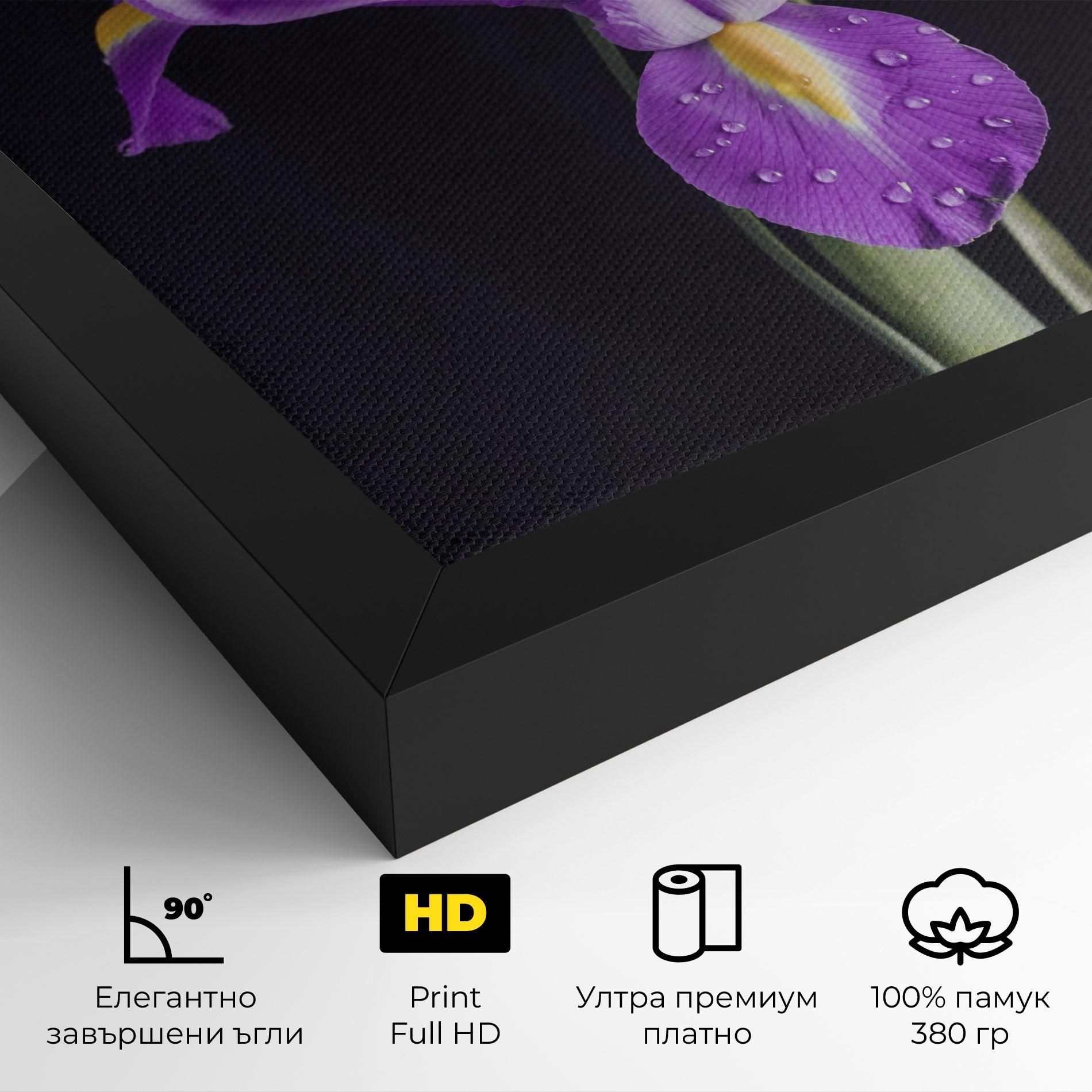Картина на платно Fresh Purple Iris mockup 4
