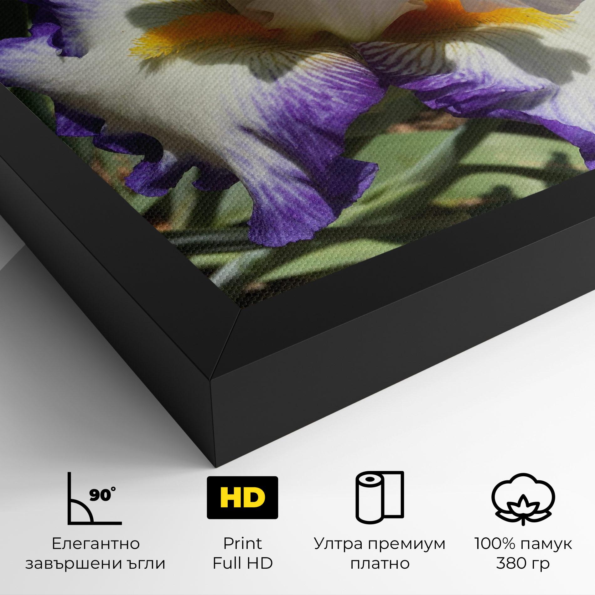 Картина на платно Garden White Purple Irirs mockup 4