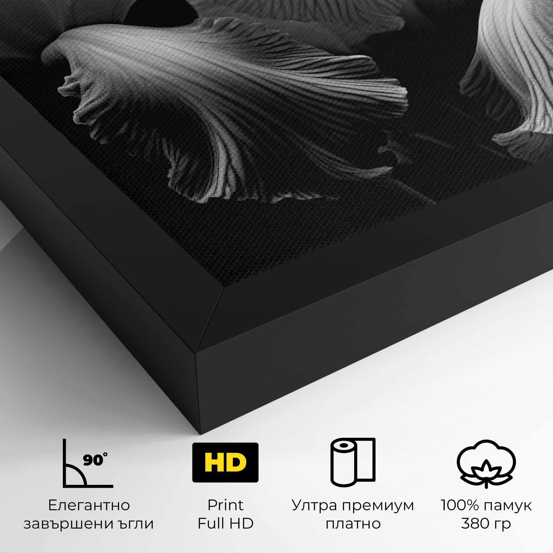 Grey Iris mockup 4