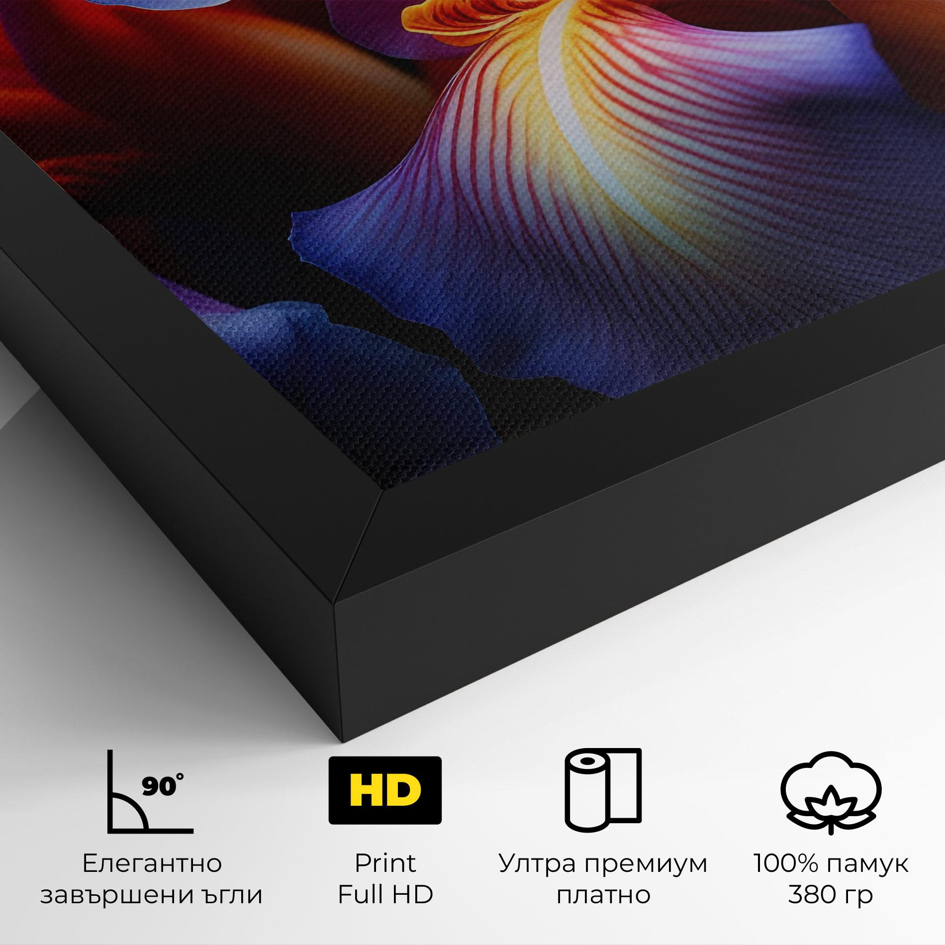 Картина на платно Orange Purple Iris mockup 4