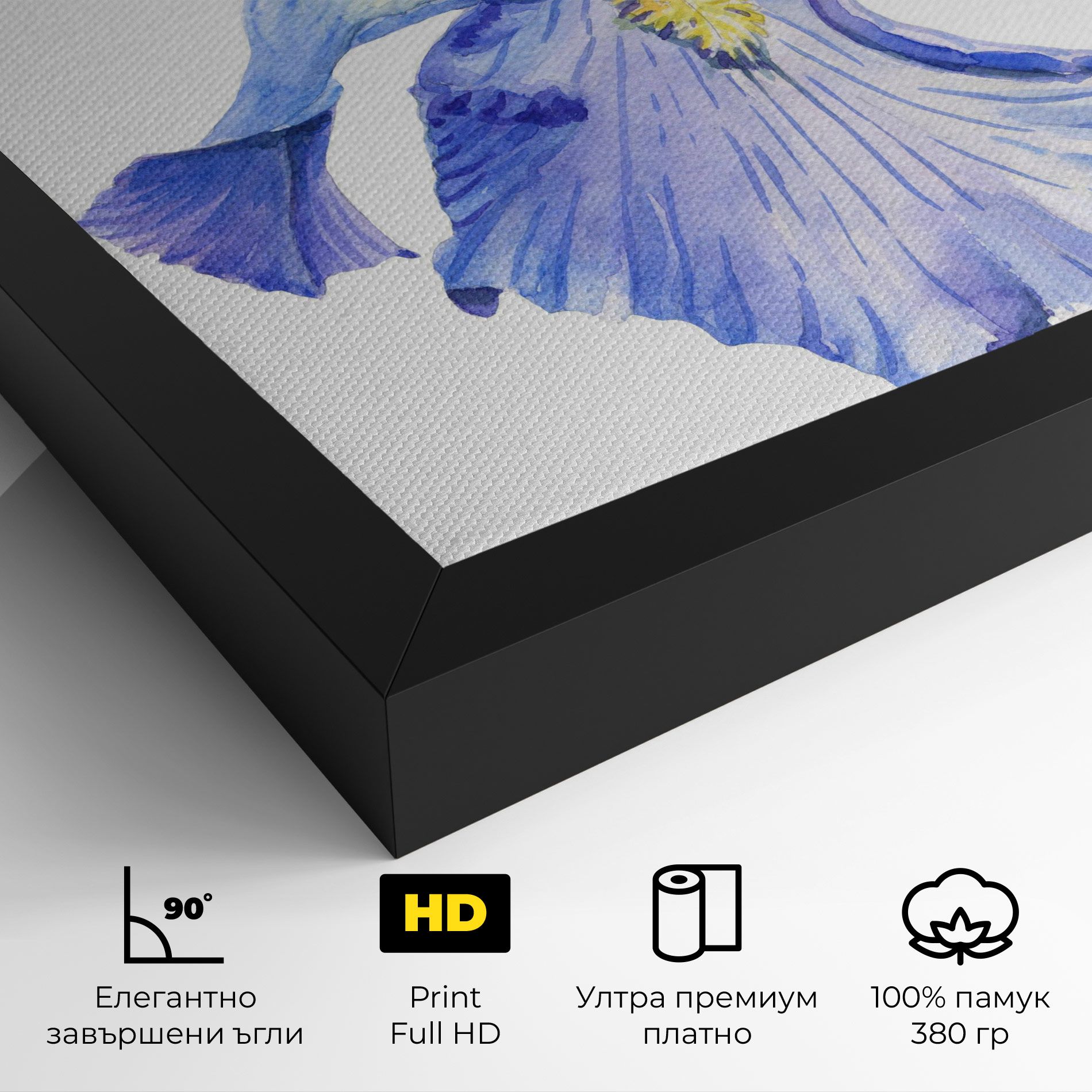 Purple Iris On White mockup 4