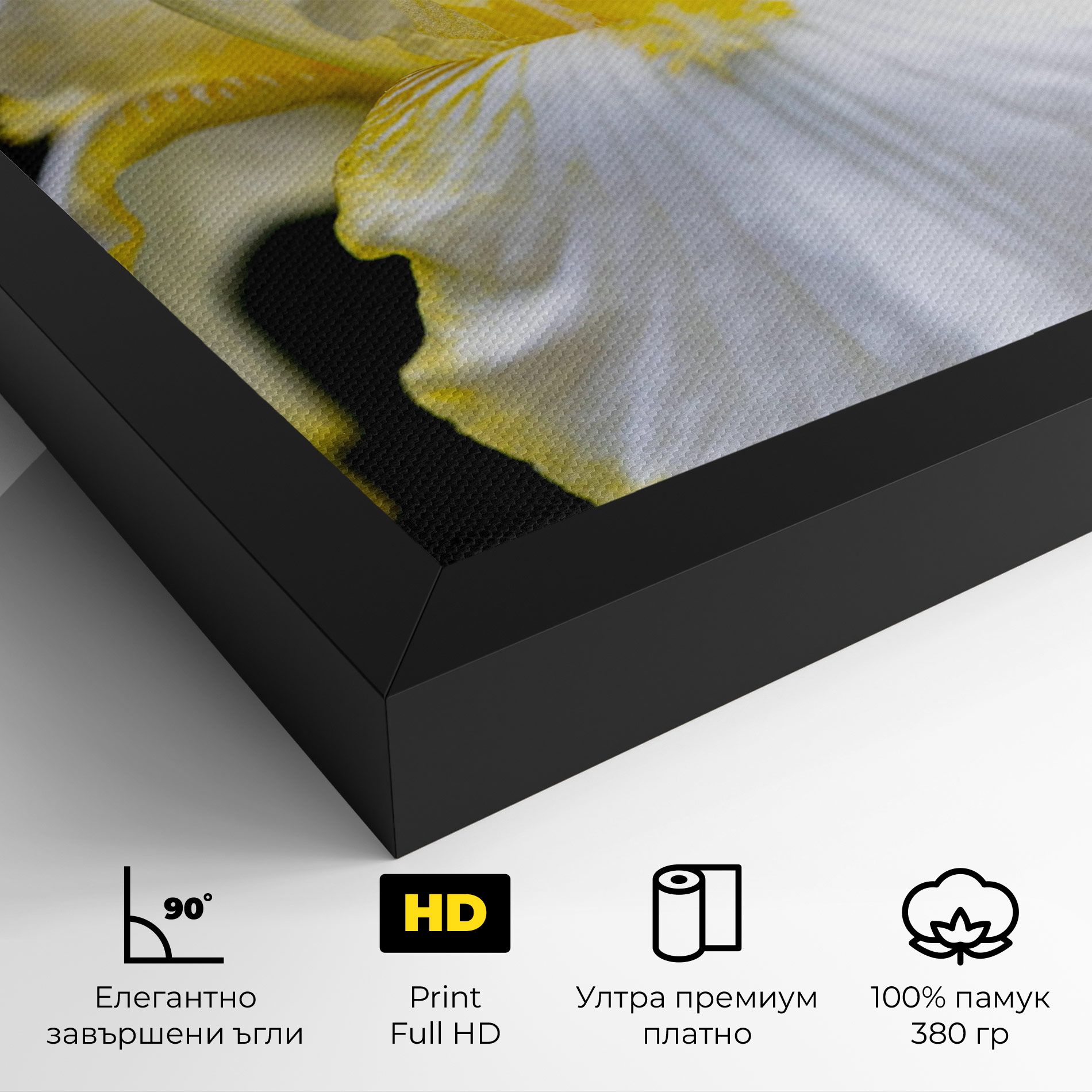 White Yellow Iris mockup 4