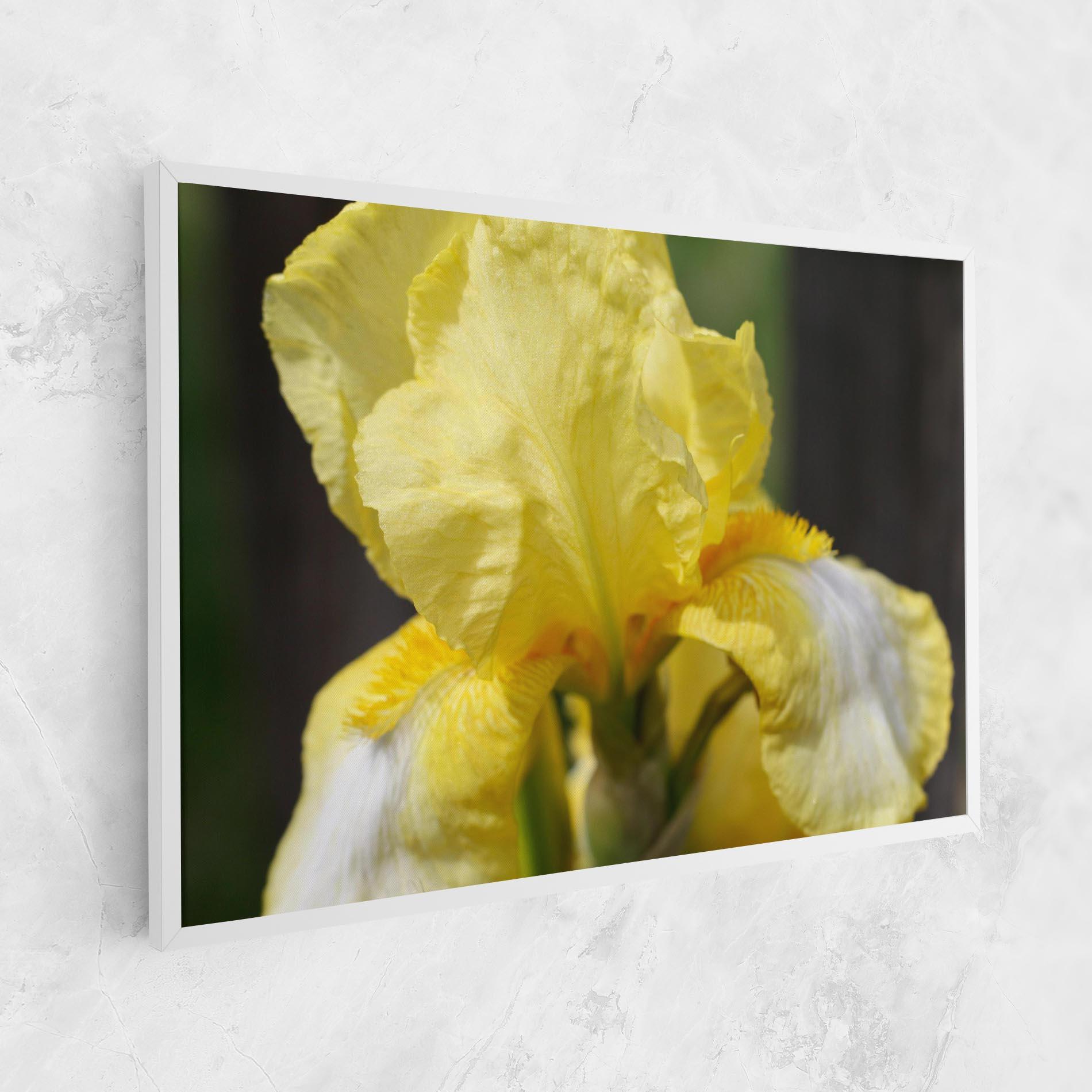 Картина на платно Garden Yellow Iris mockup 1