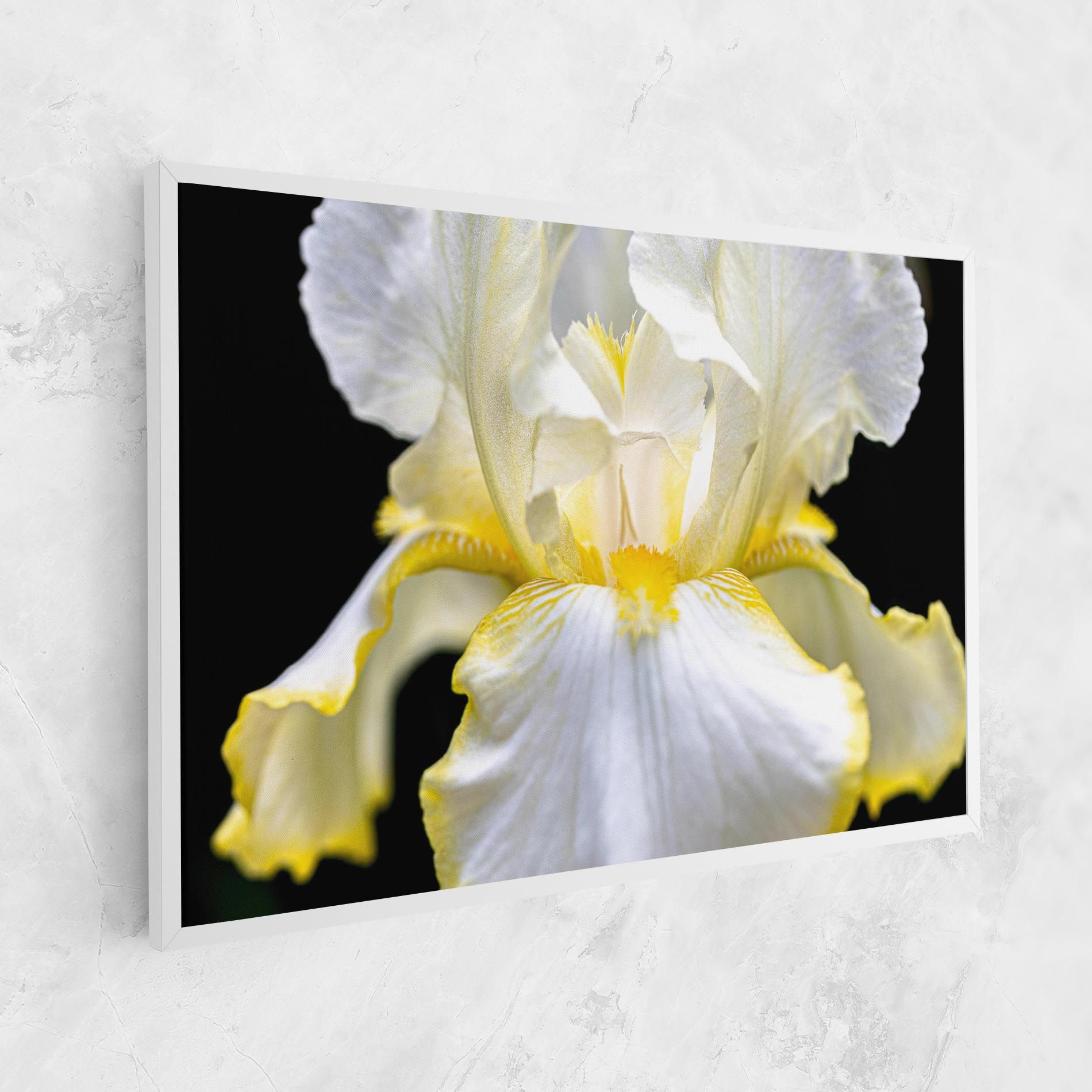 White Yellow Iris mockup 1