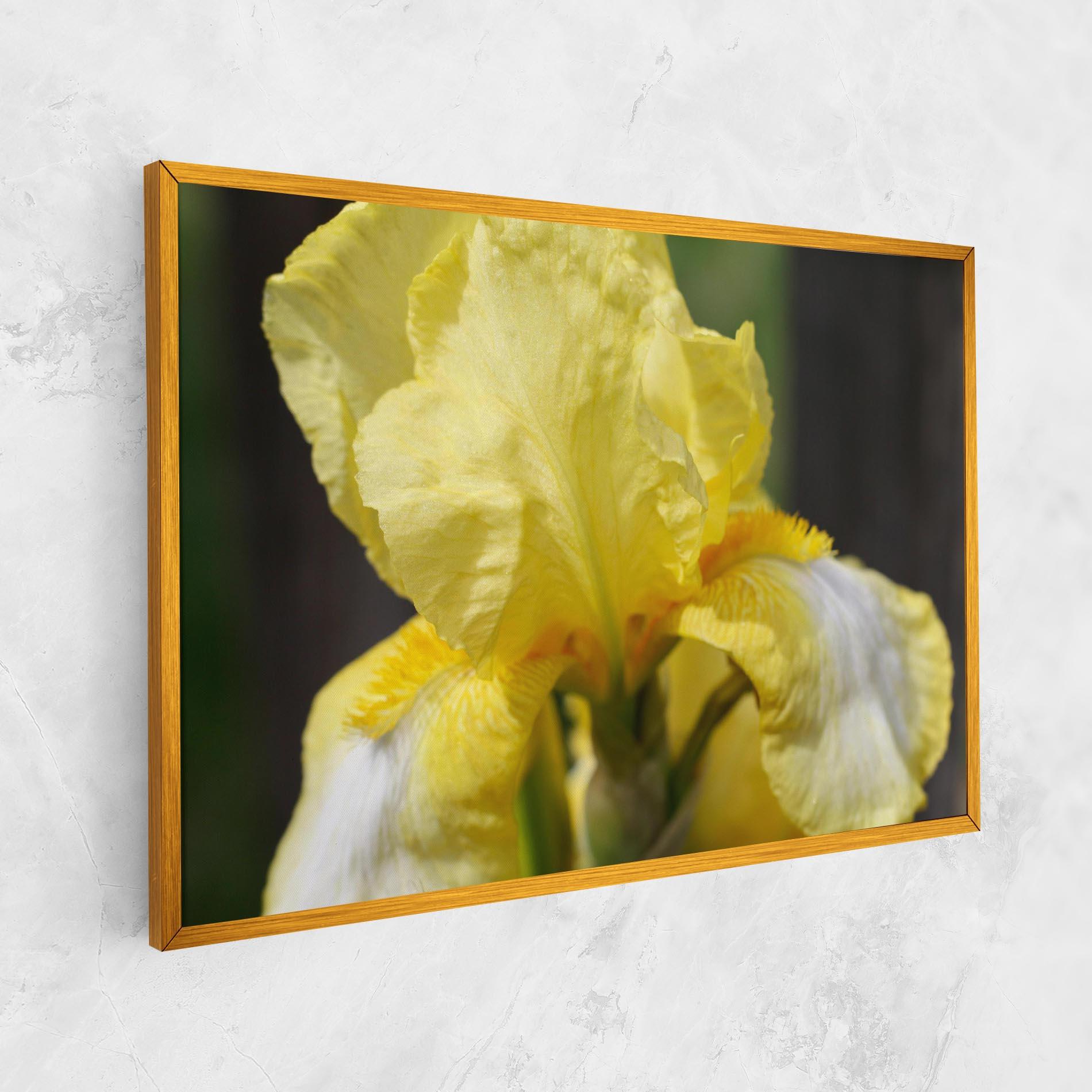 Картина на платно Garden Yellow Iris mockup 1