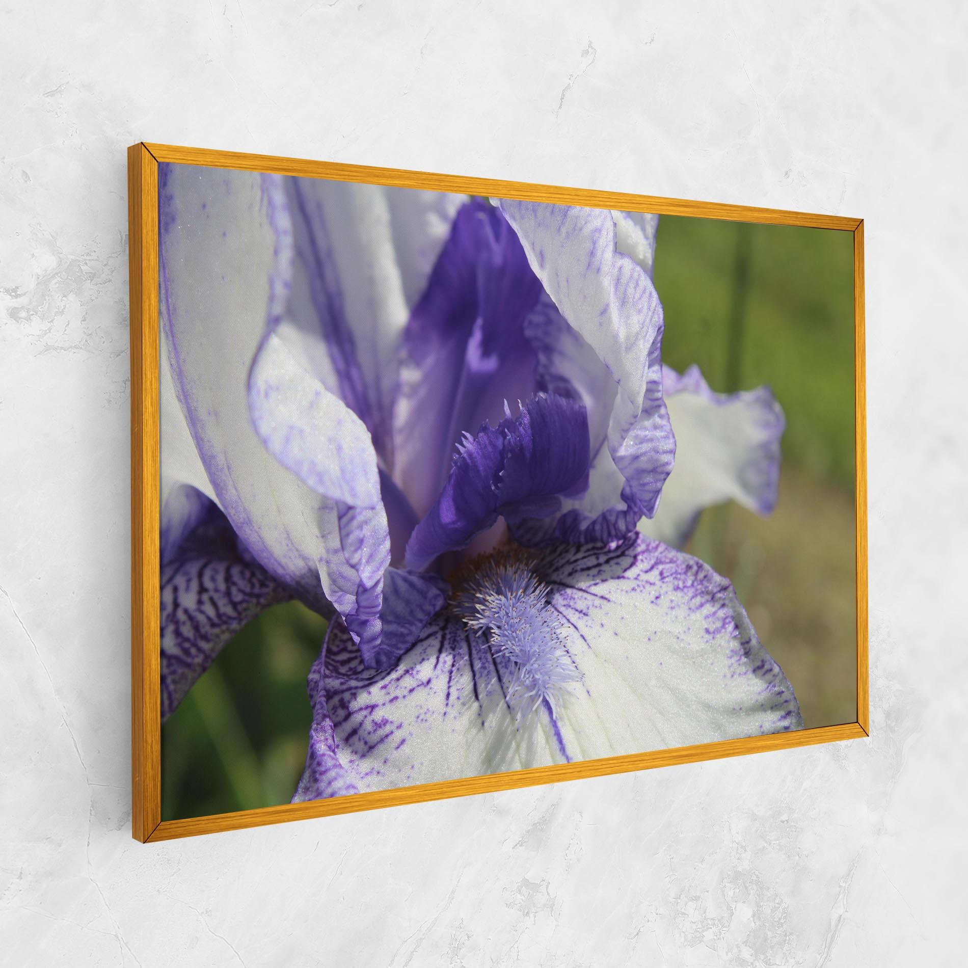 Картина на платно White Purple Iris mockup 1
