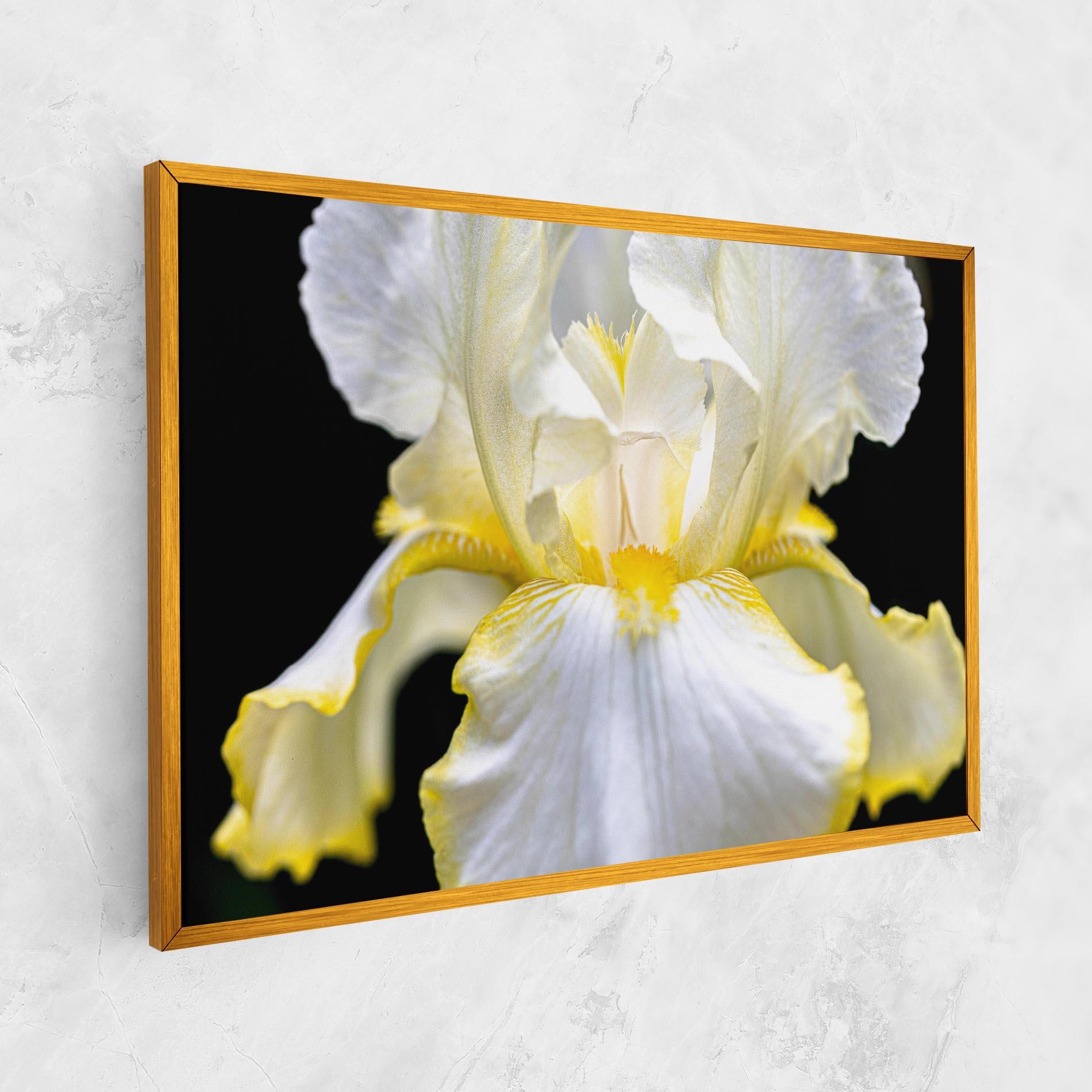 Картина на платно White Yellow Iris mockup 1