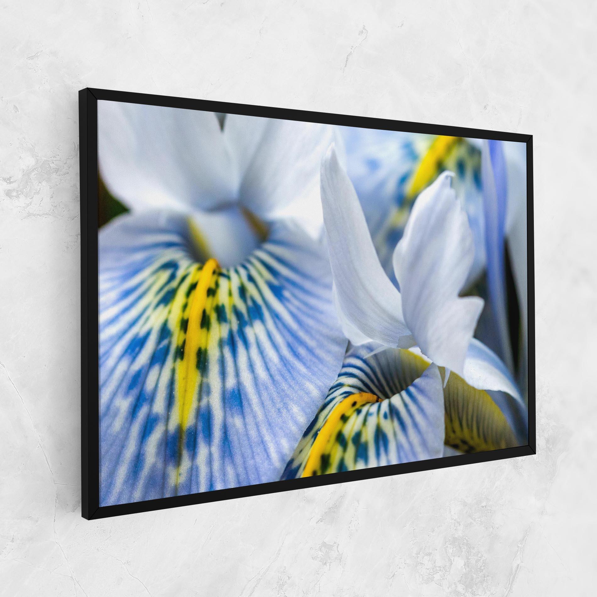 Картина на платно Blue Yellow Iris mockup 1