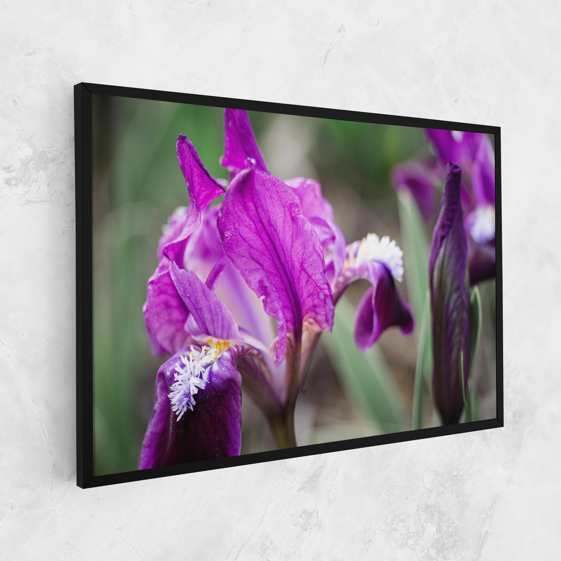 Картина на платно Dark Pink Iris mockup 1