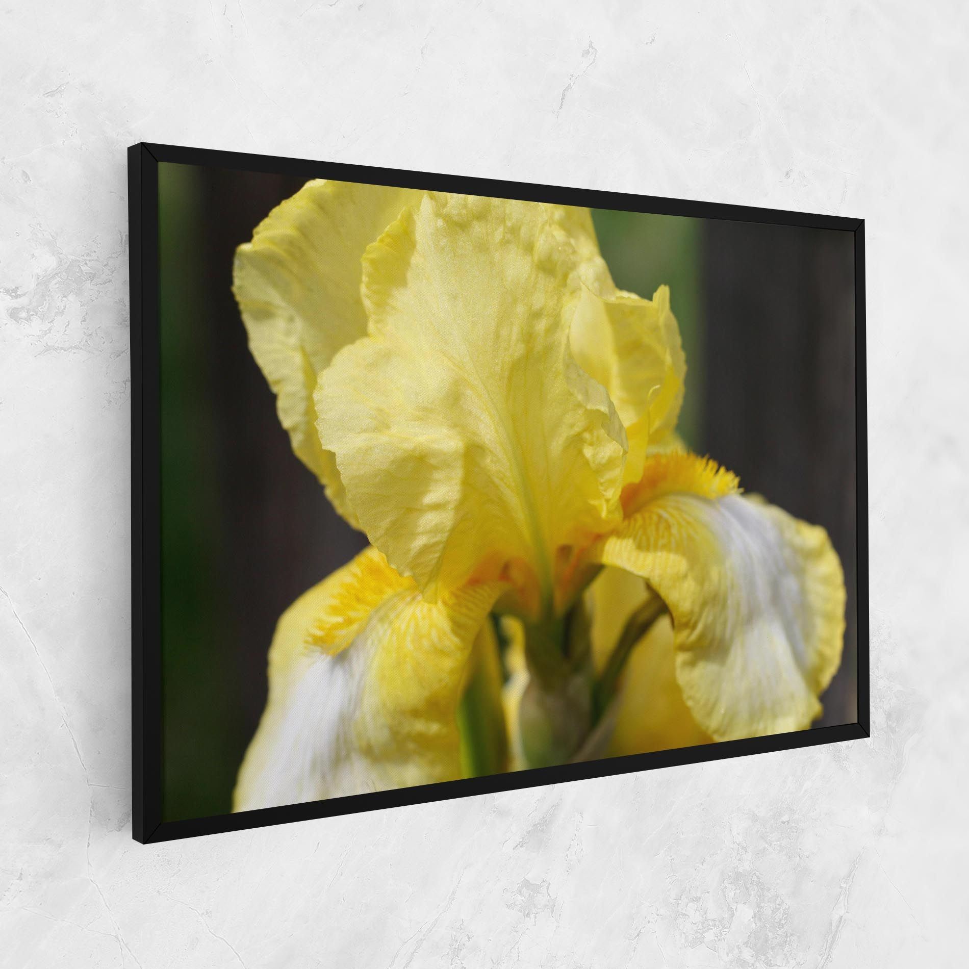 Garden Yellow Iris mockup 1