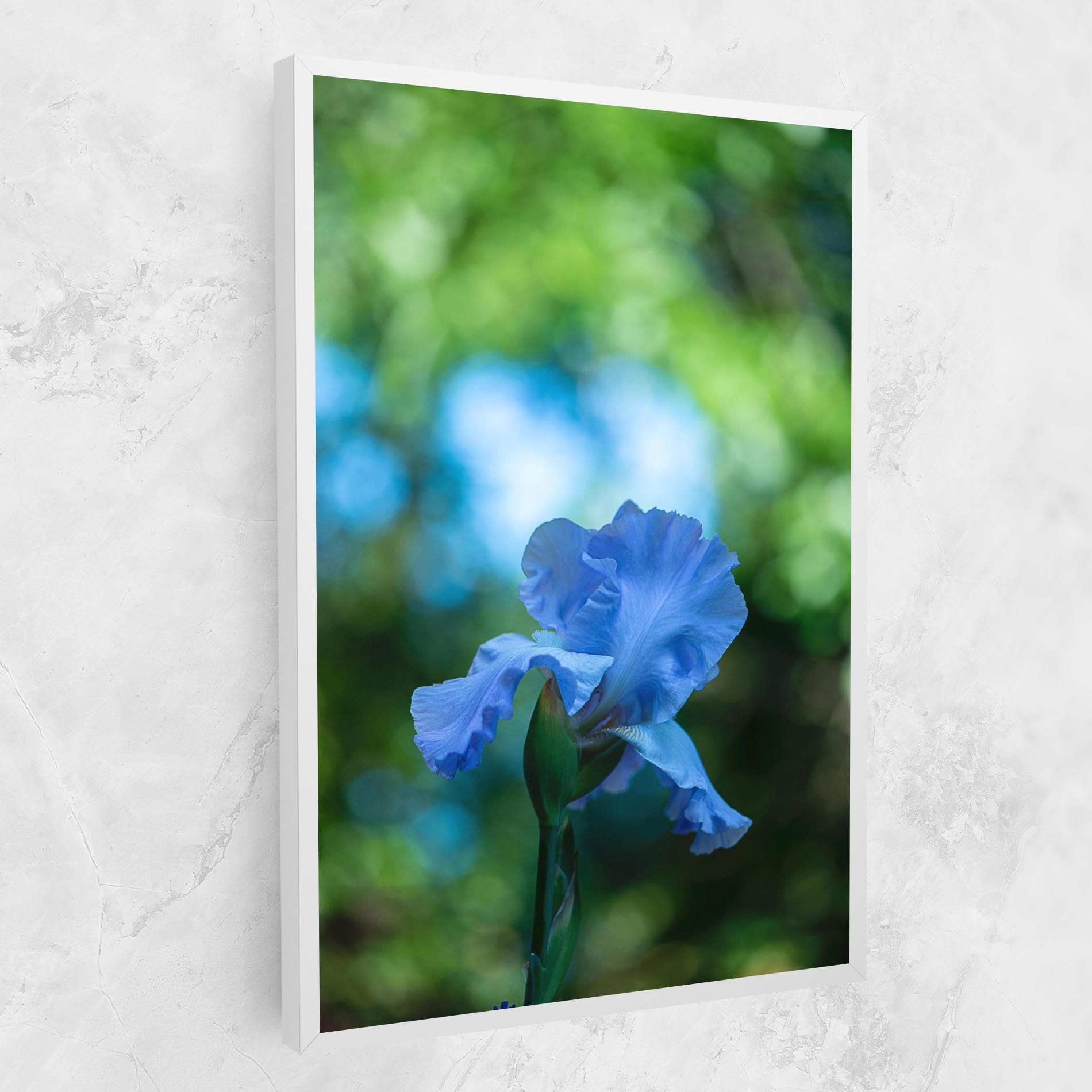 Blue Iris In The Garden mockup 1