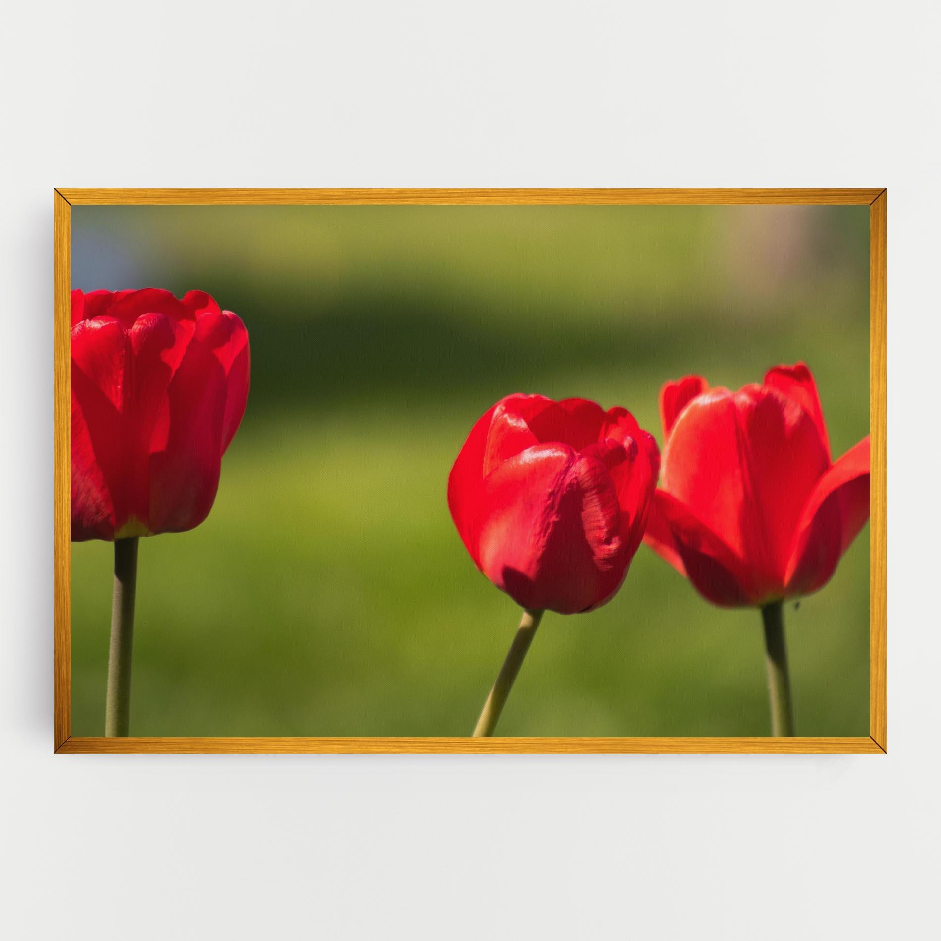 Картина на платно 3 Red Tulips mockup 0
