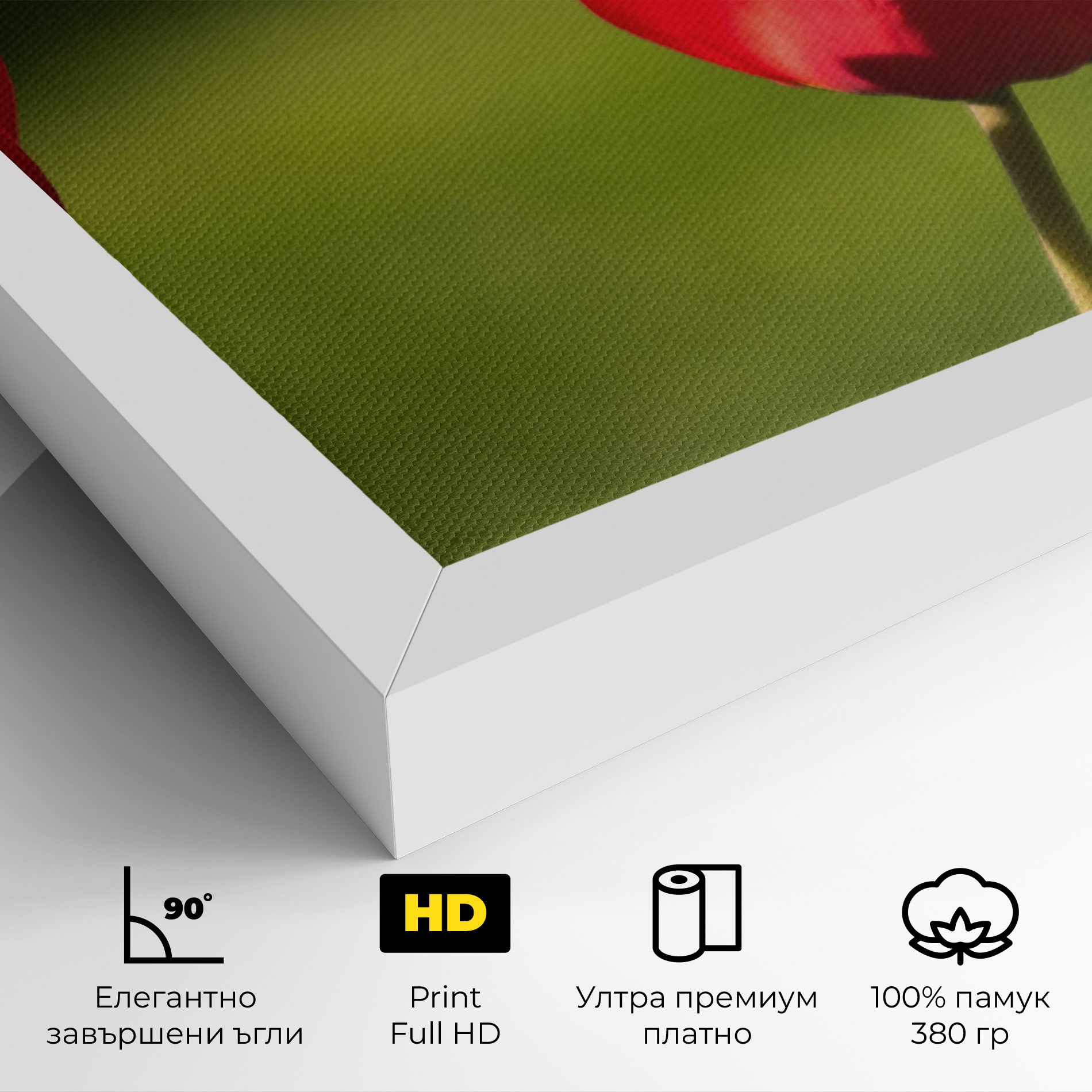 3 Red Tulips mockup 4