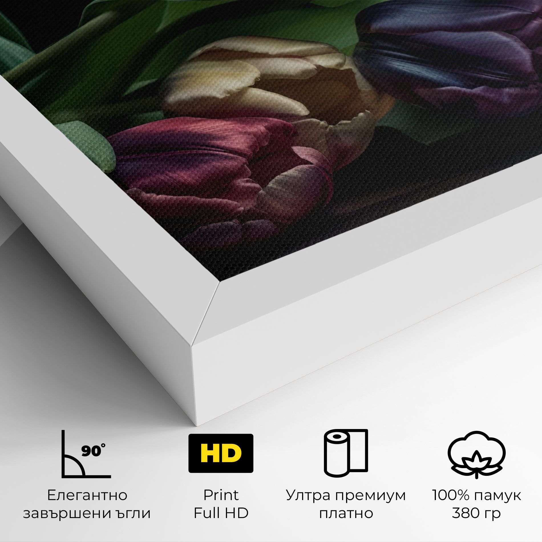 Dark Purple Tulip mockup 4