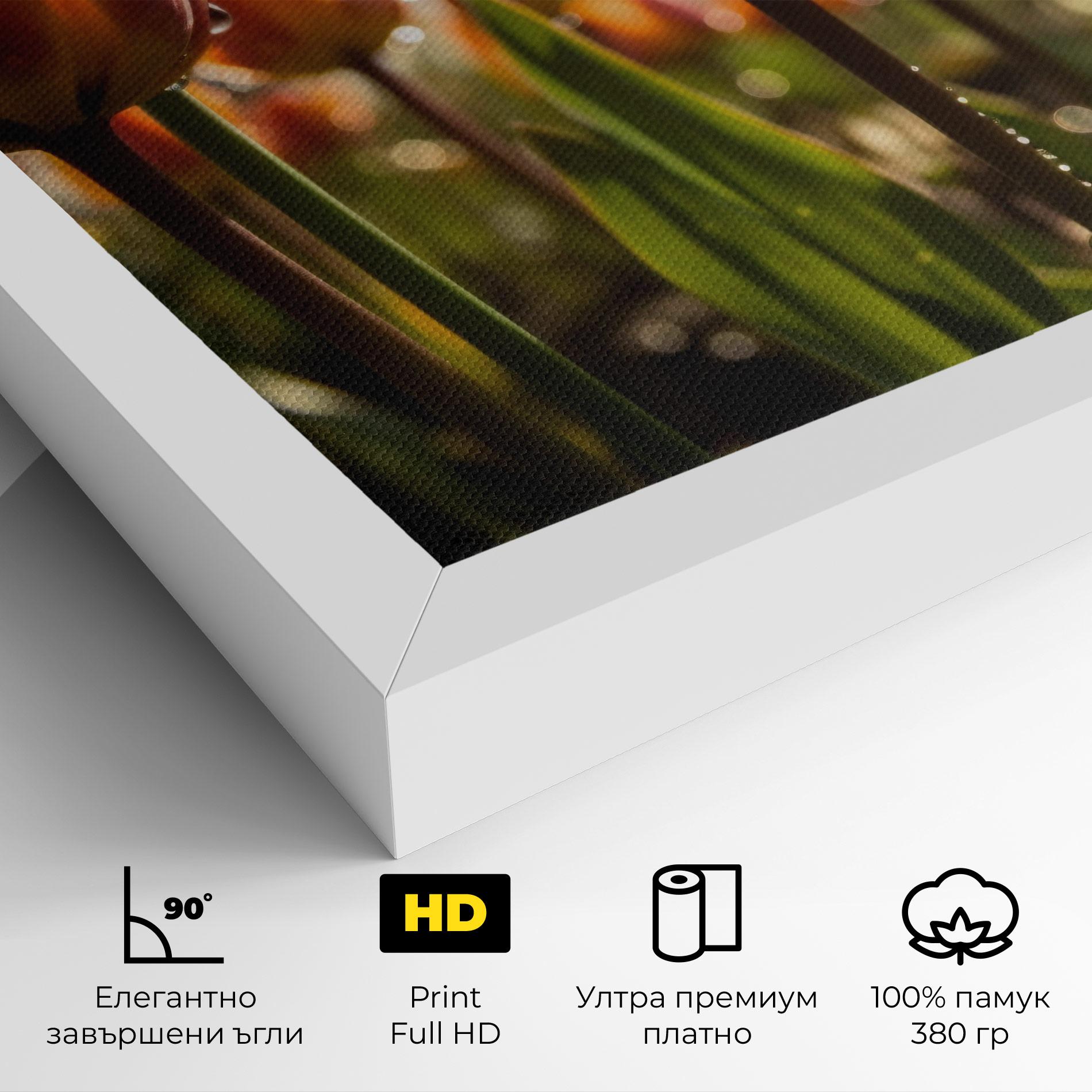 Картина на платно Orange Tulips After Rain mockup 4