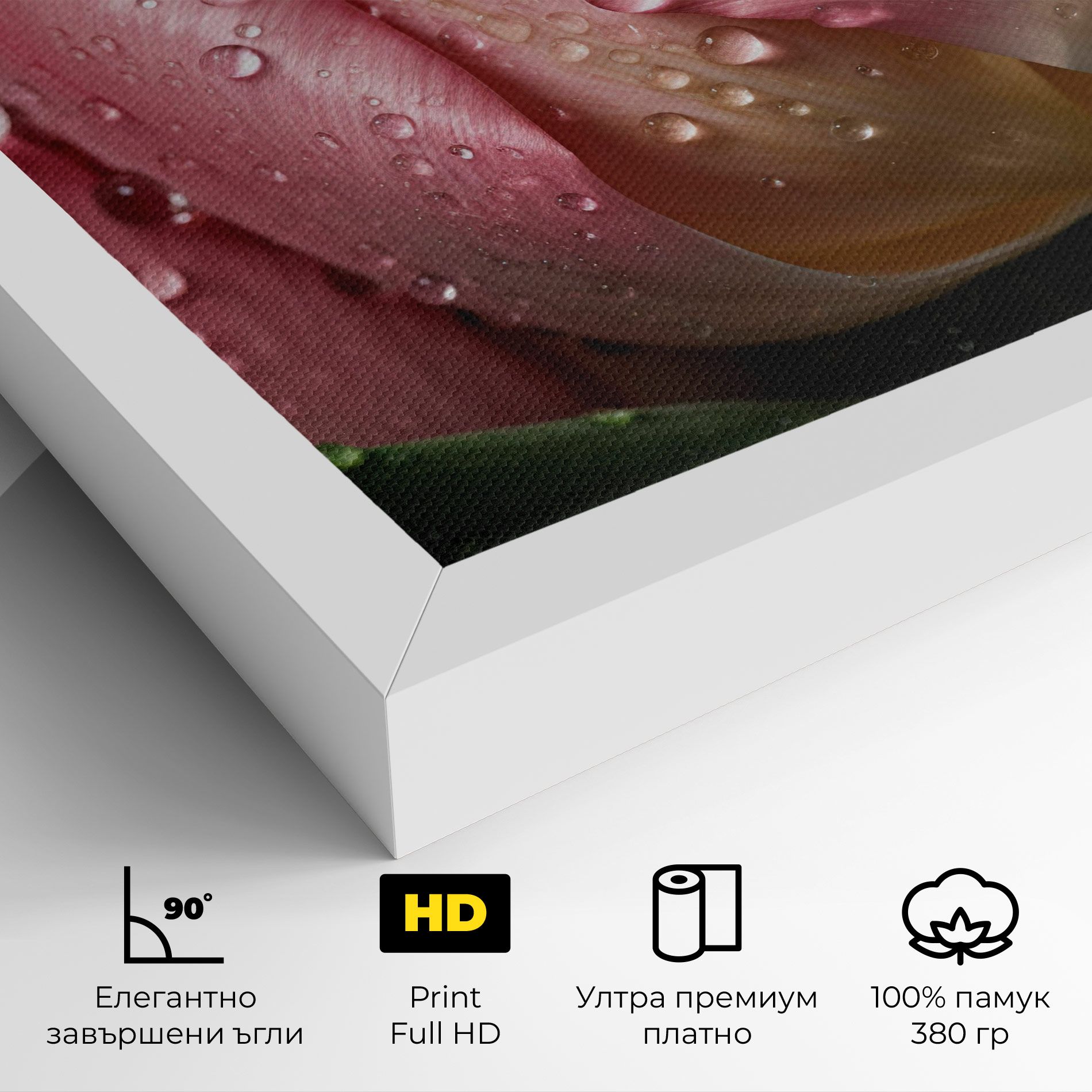 Pink Tulip With Drops mockup 4