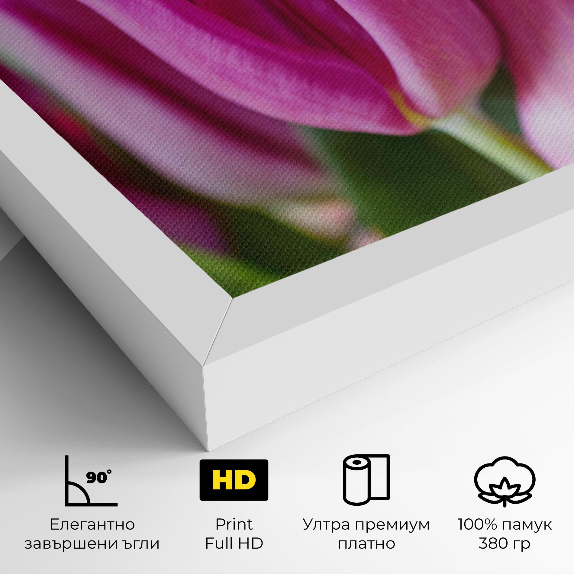Картина на платно Purple Tulip Close Up mockup 4