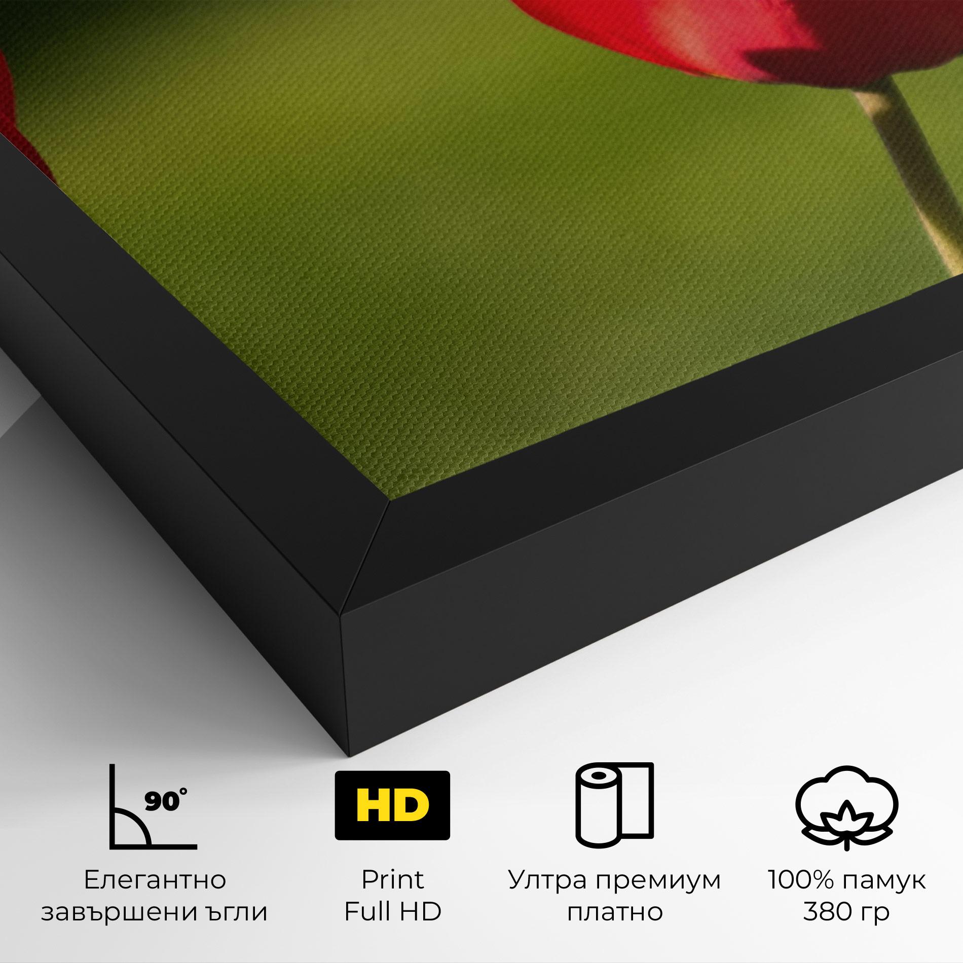 Картина на платно 3 Red Tulips mockup 4