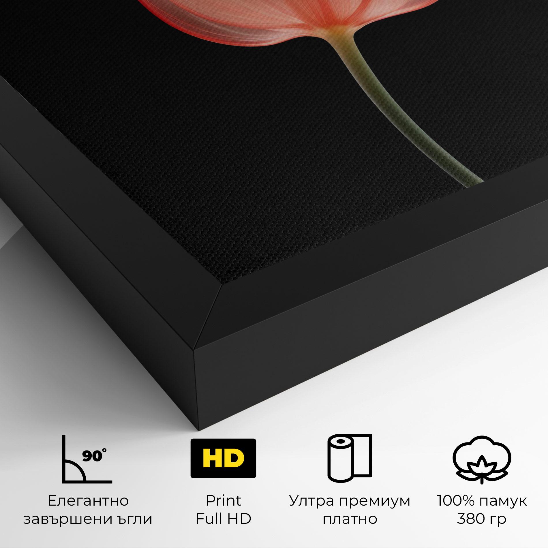 Картина на платно Pastel Pink Tulip mockup 4