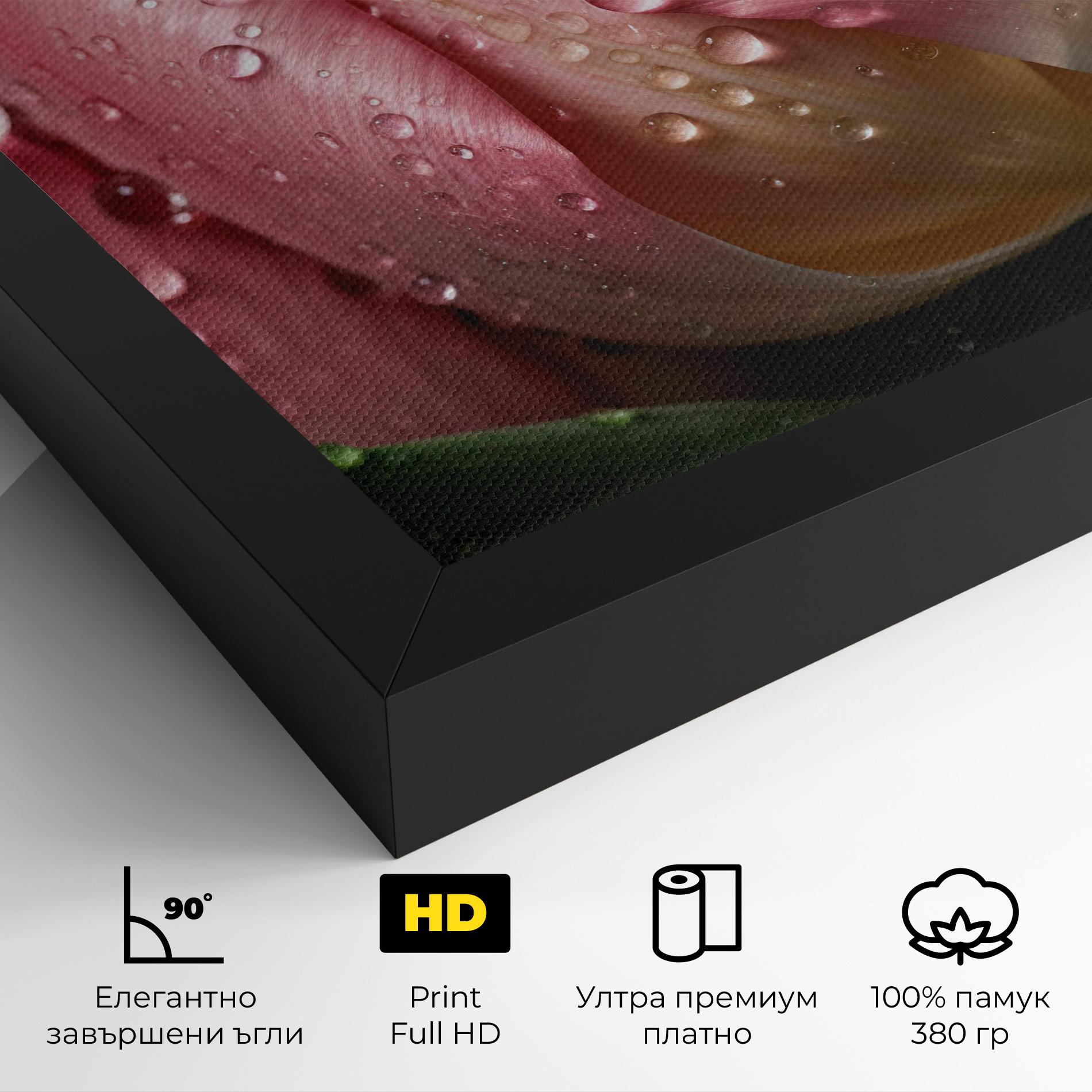Картина на платно Pink Tulip With Drops mockup 4