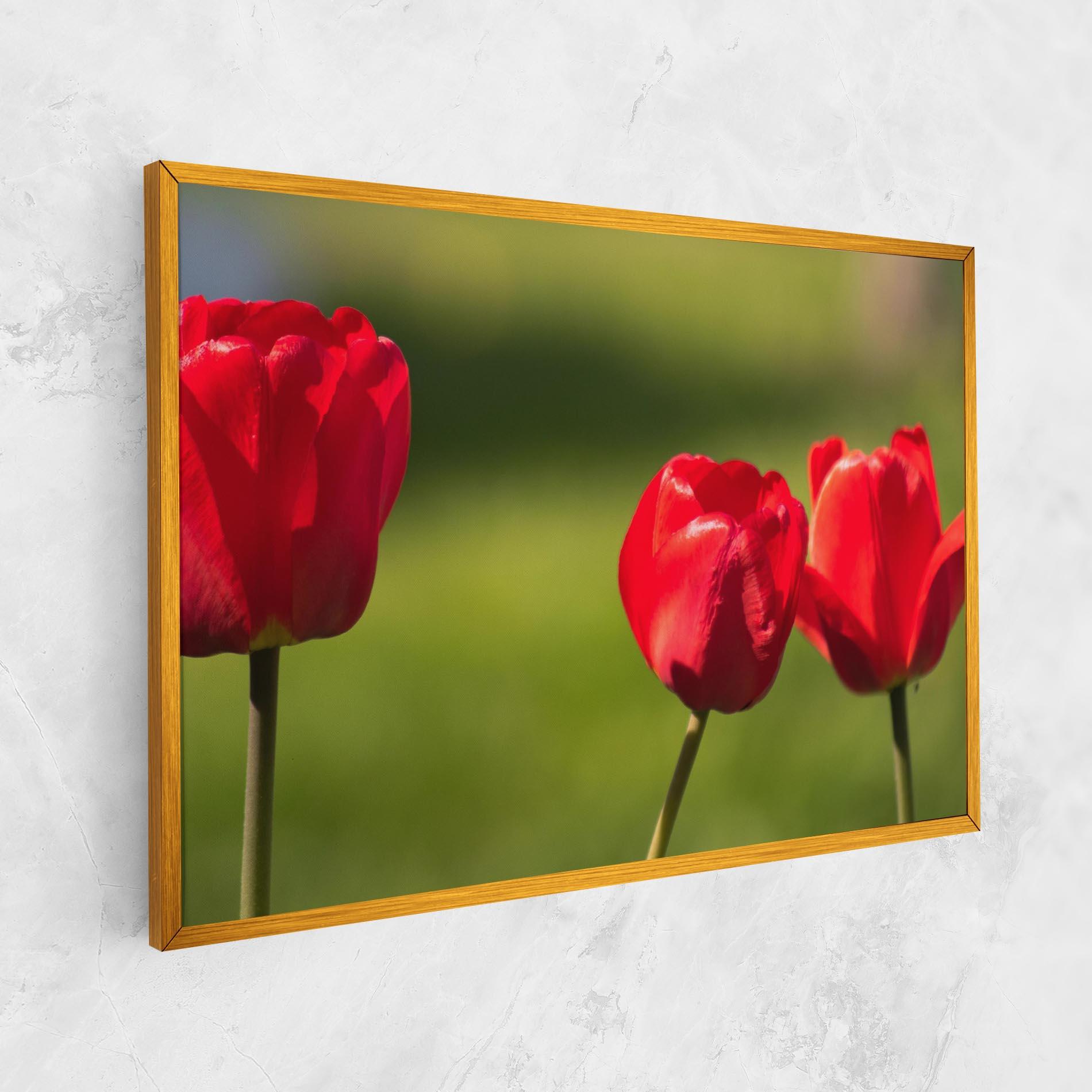 Картина на платно 3 Red Tulips mockup 1