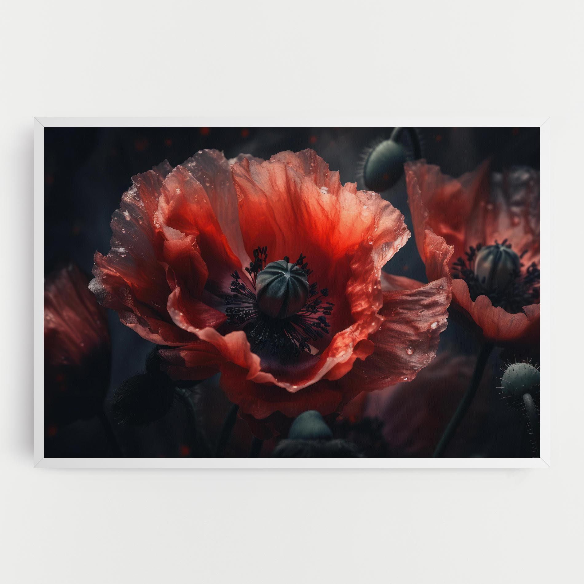 Dark Shade Poppy mockup 0