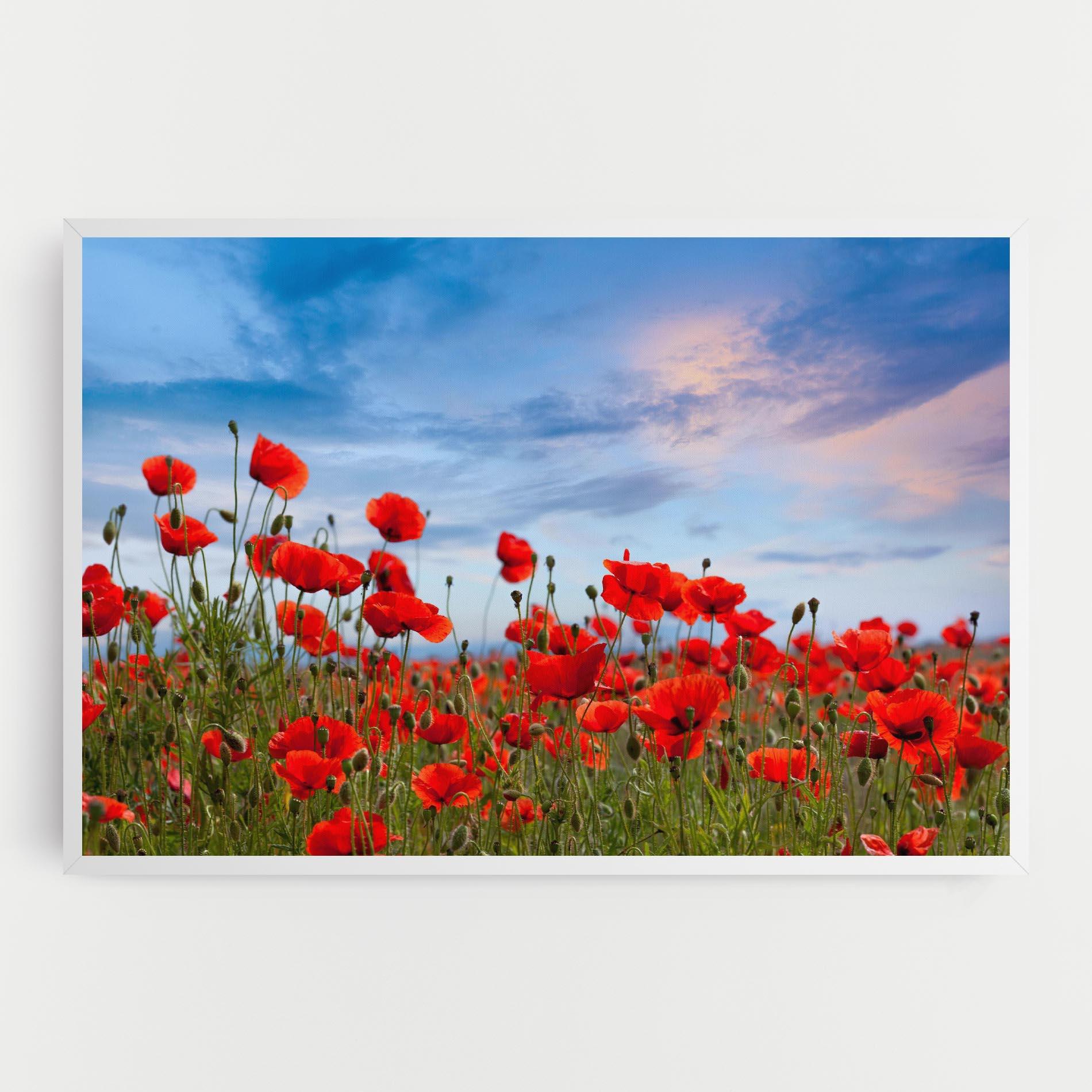 Картина на платно Poppy Field mockup 0