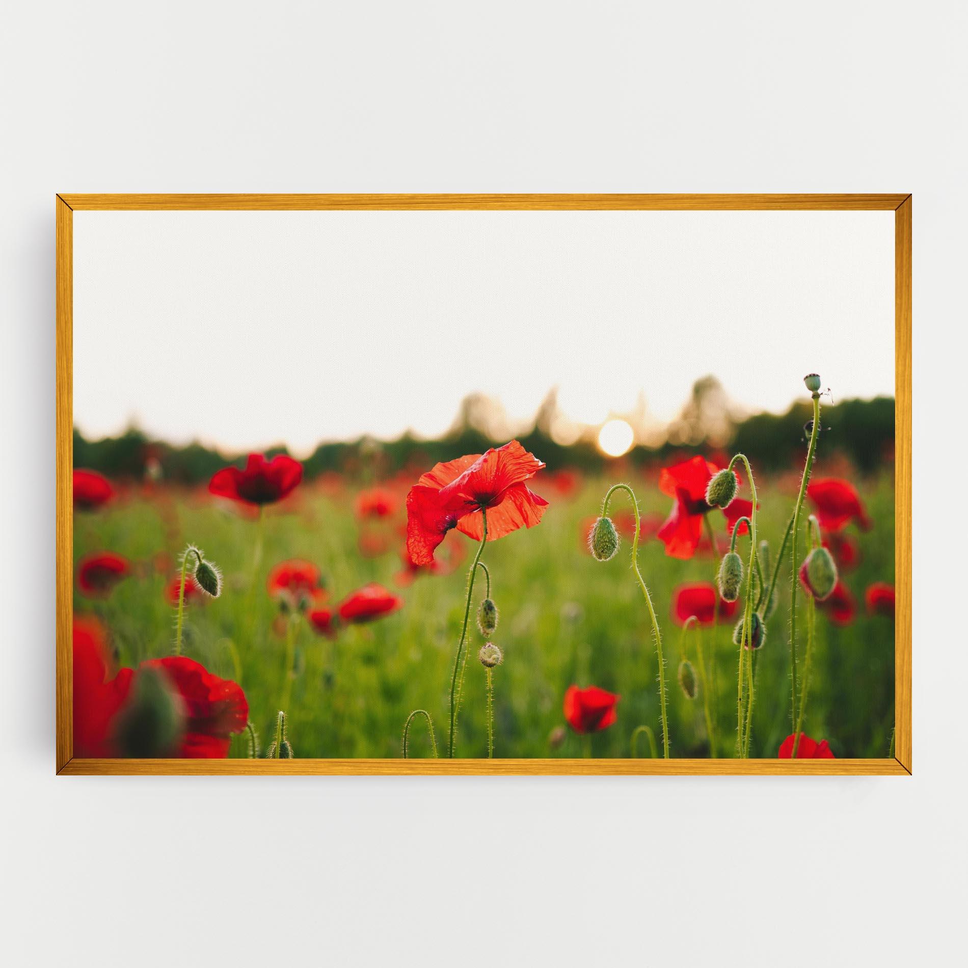 Картина на платно Poppies Field mockup 0