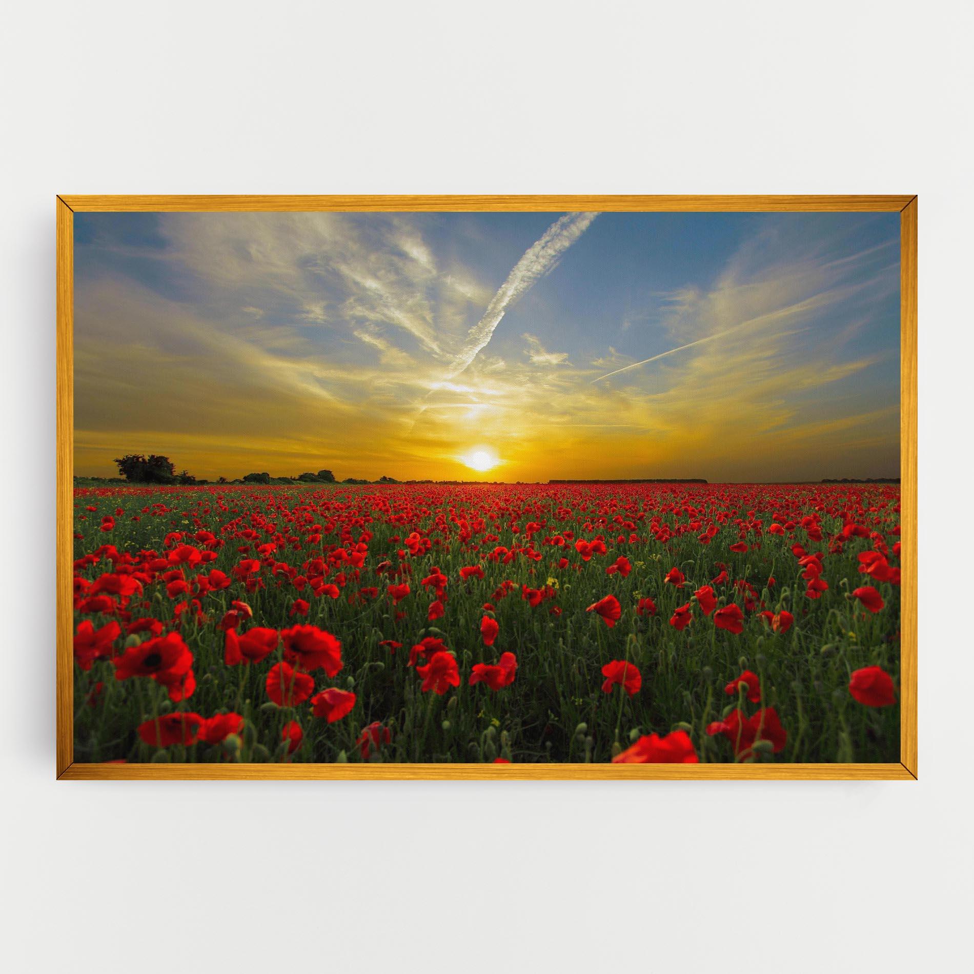 Картина на платно Poppies Sunset mockup 0