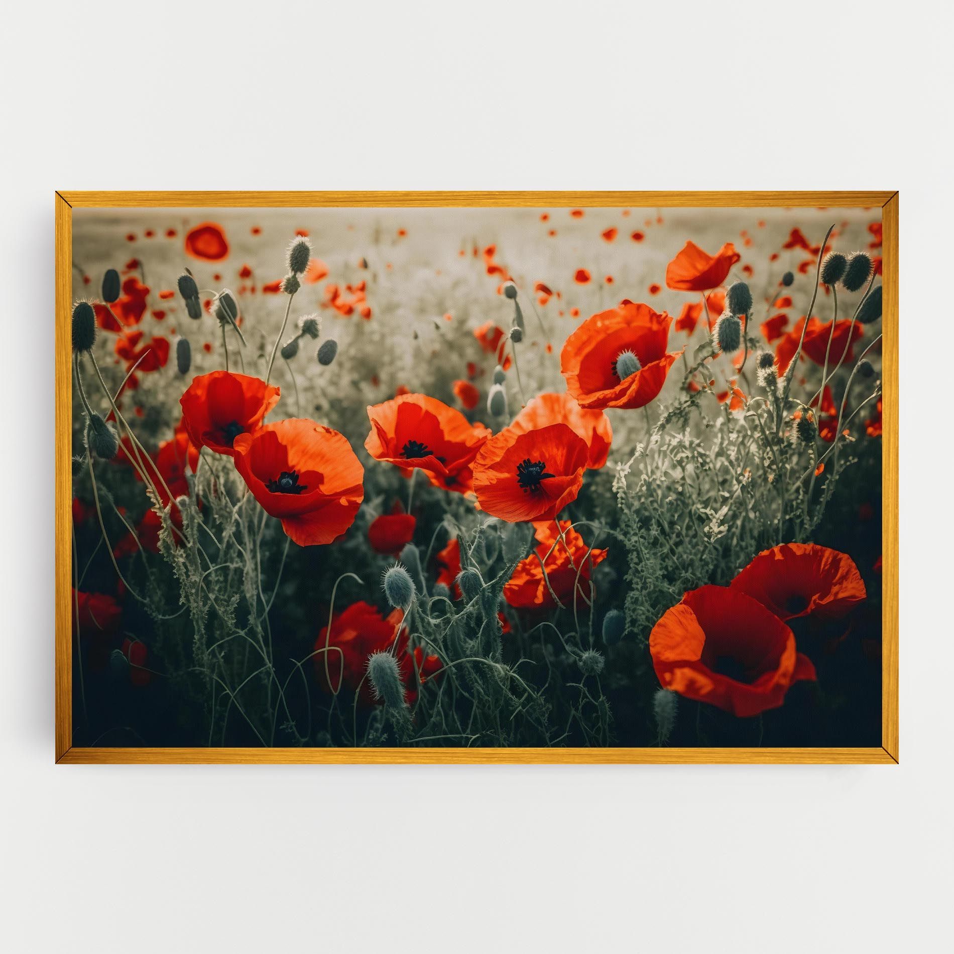 Poppy Grass Field mockup 0
