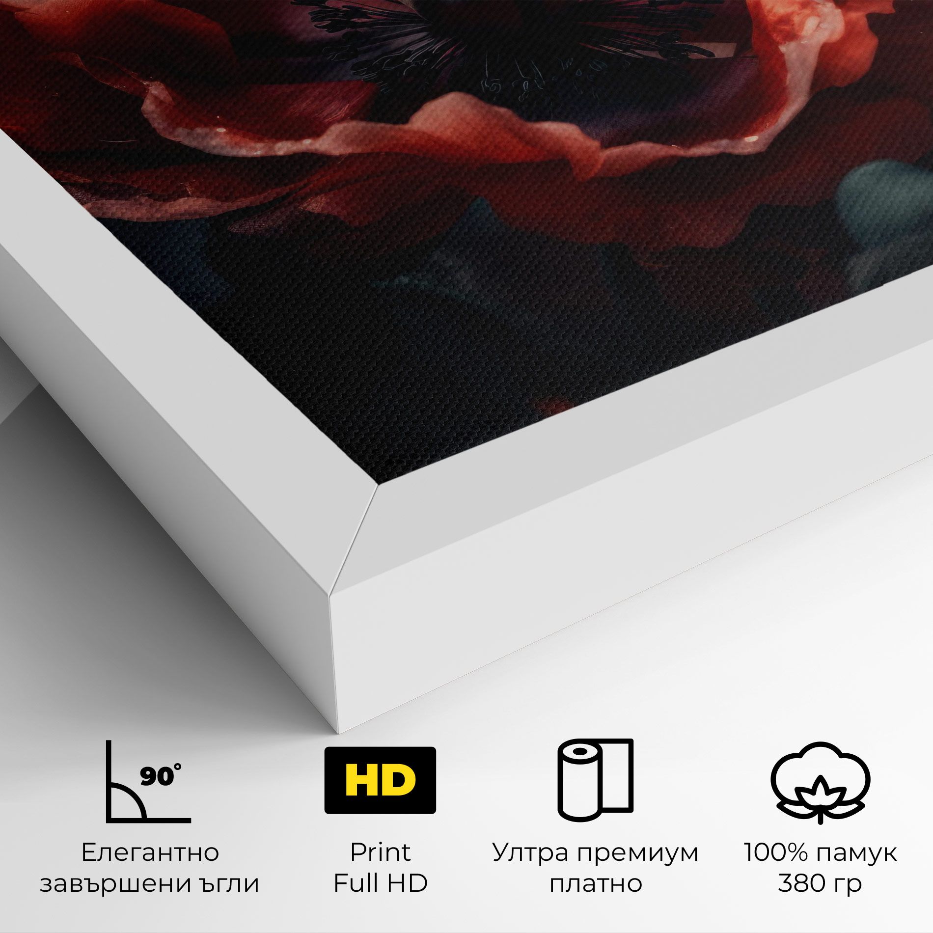 Dark Shade Poppy mockup 4