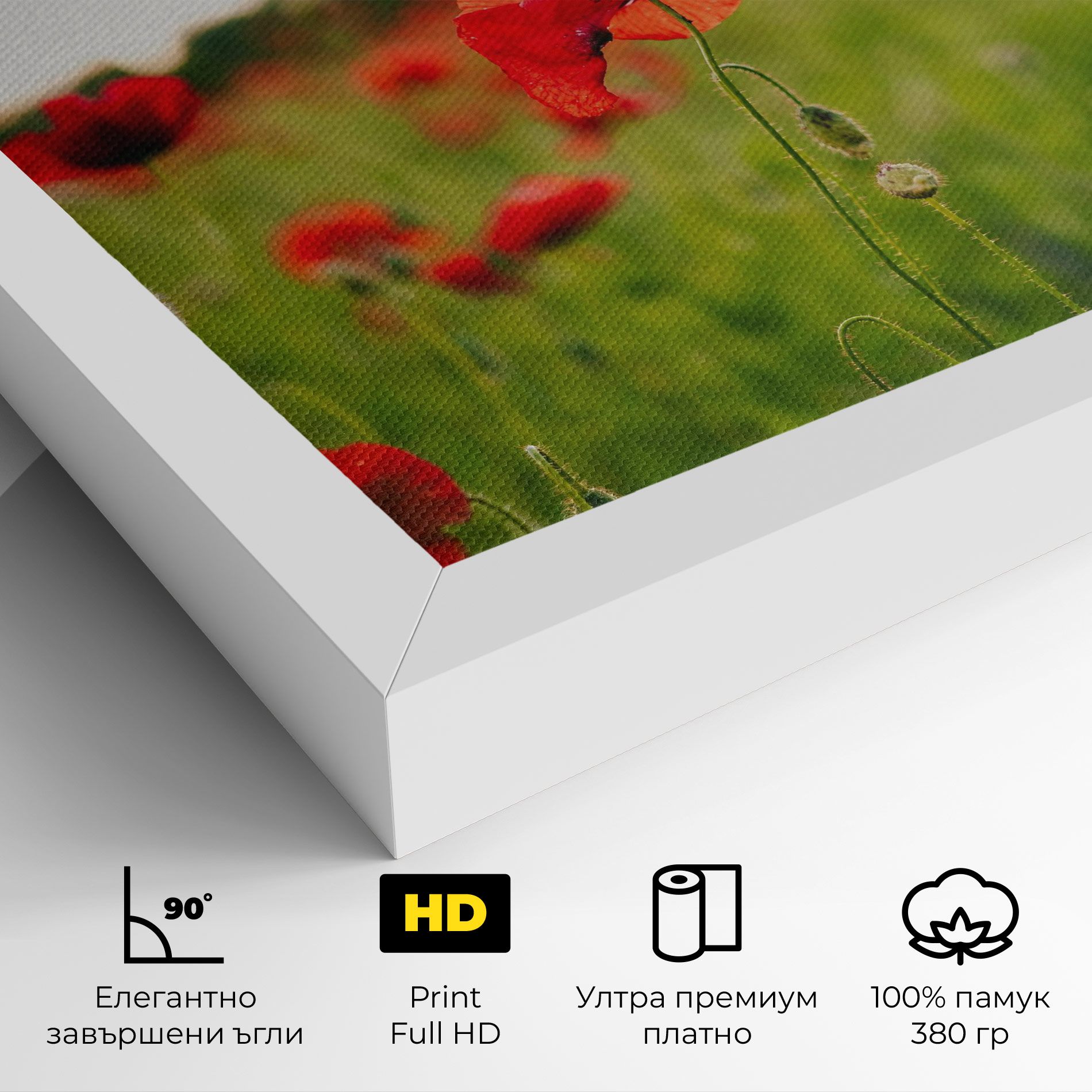 Poppies Field mockup 4
