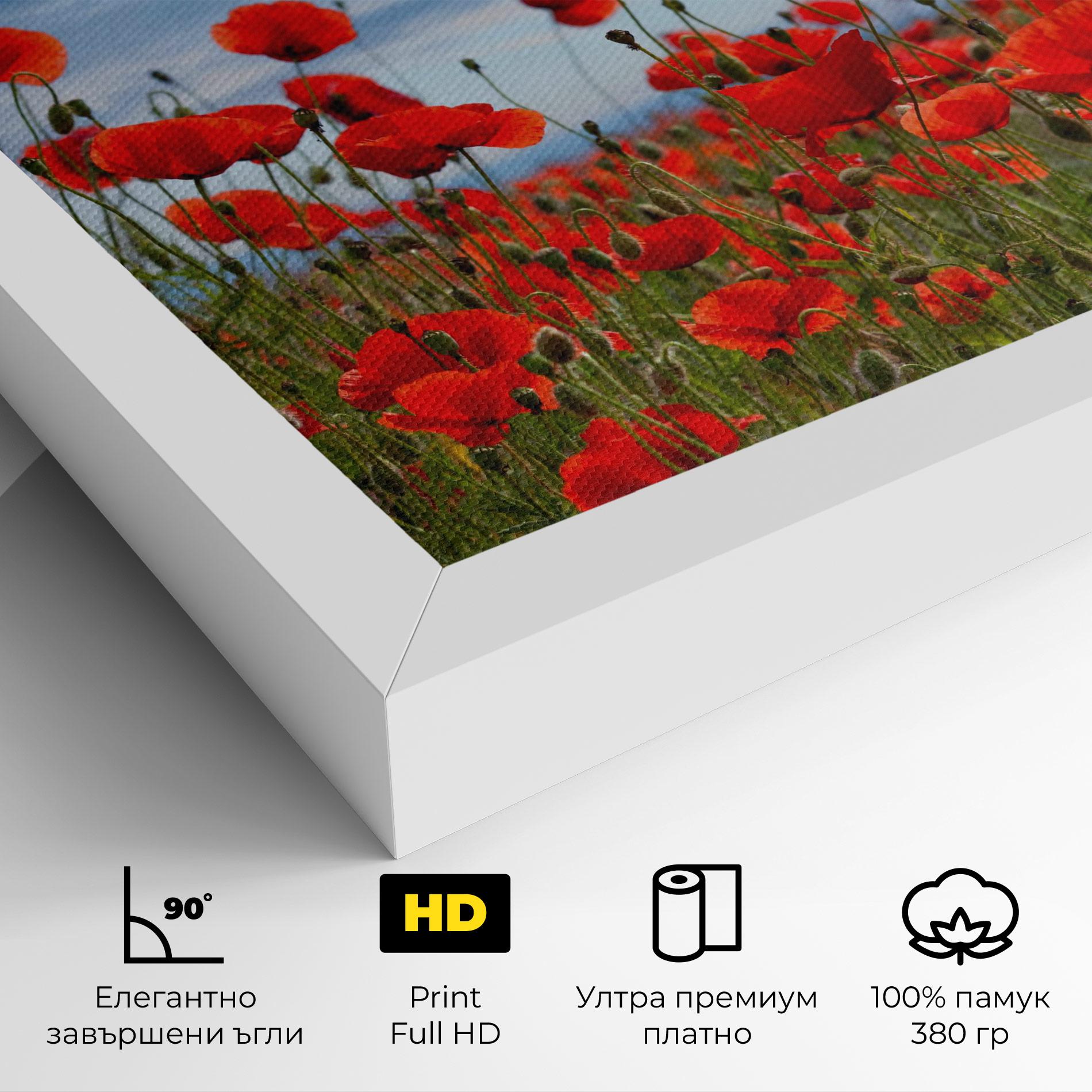Картина на платно Poppy Field mockup 4