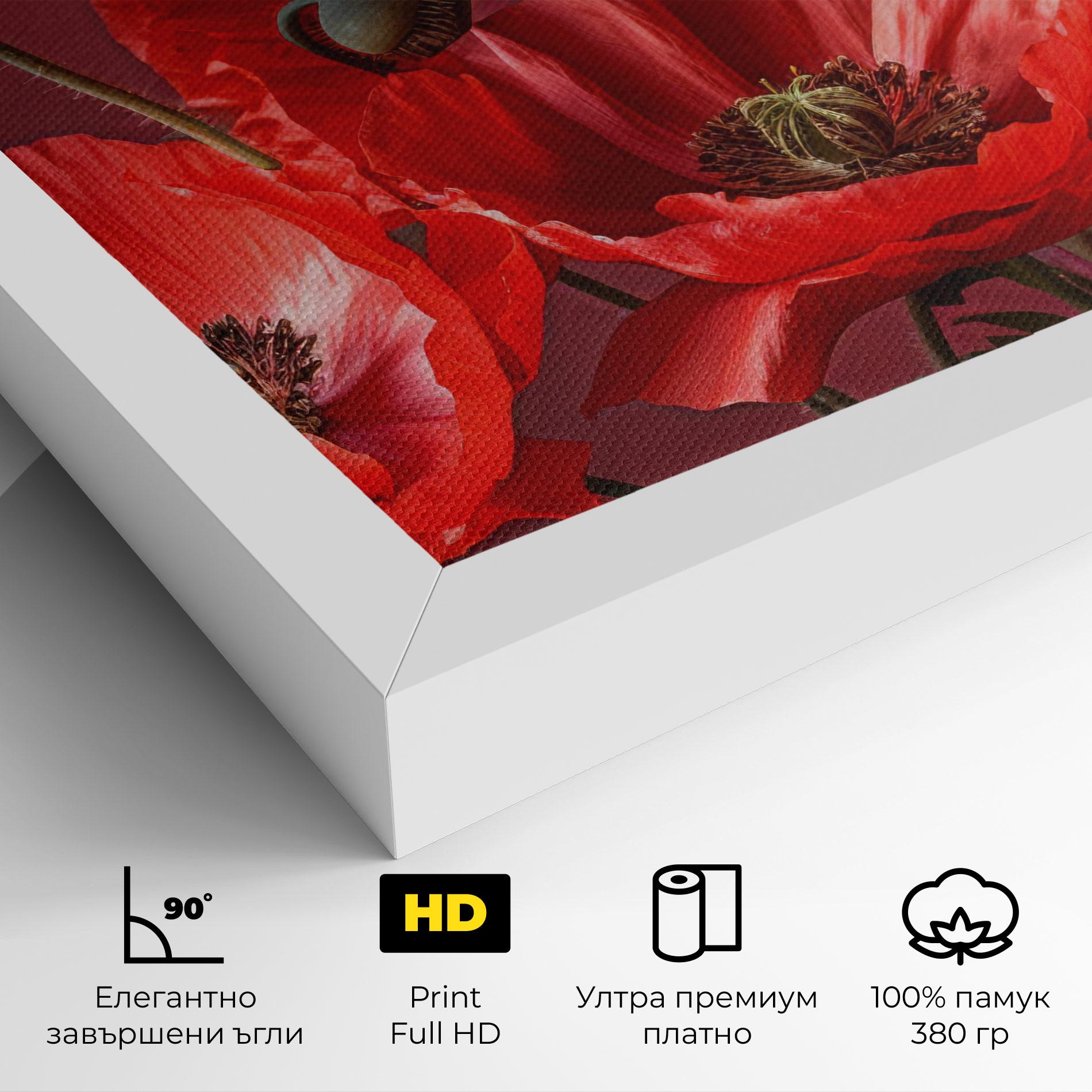 Картина на платно Red Poppies mockup 4