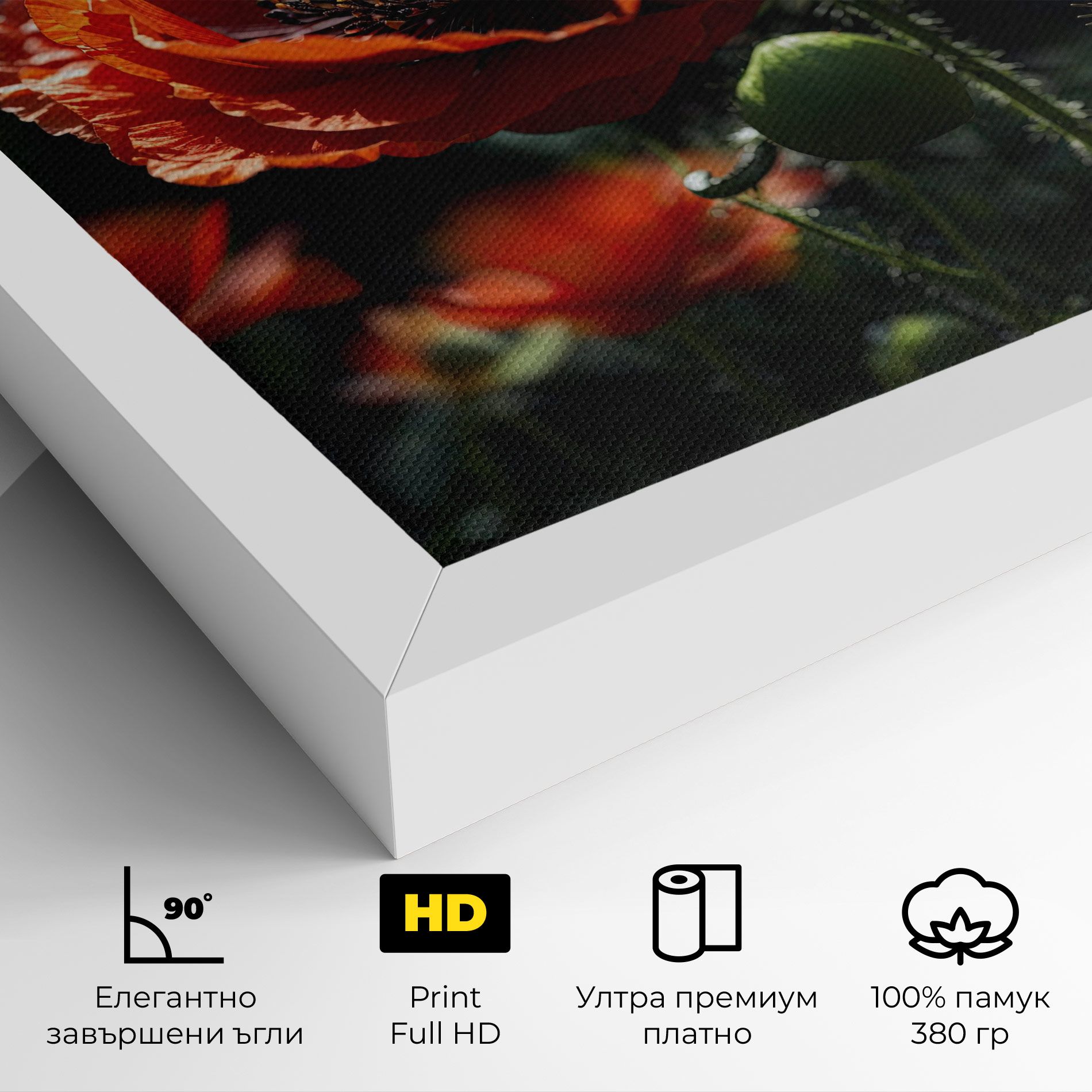 Red Poppy Close Up mockup 4