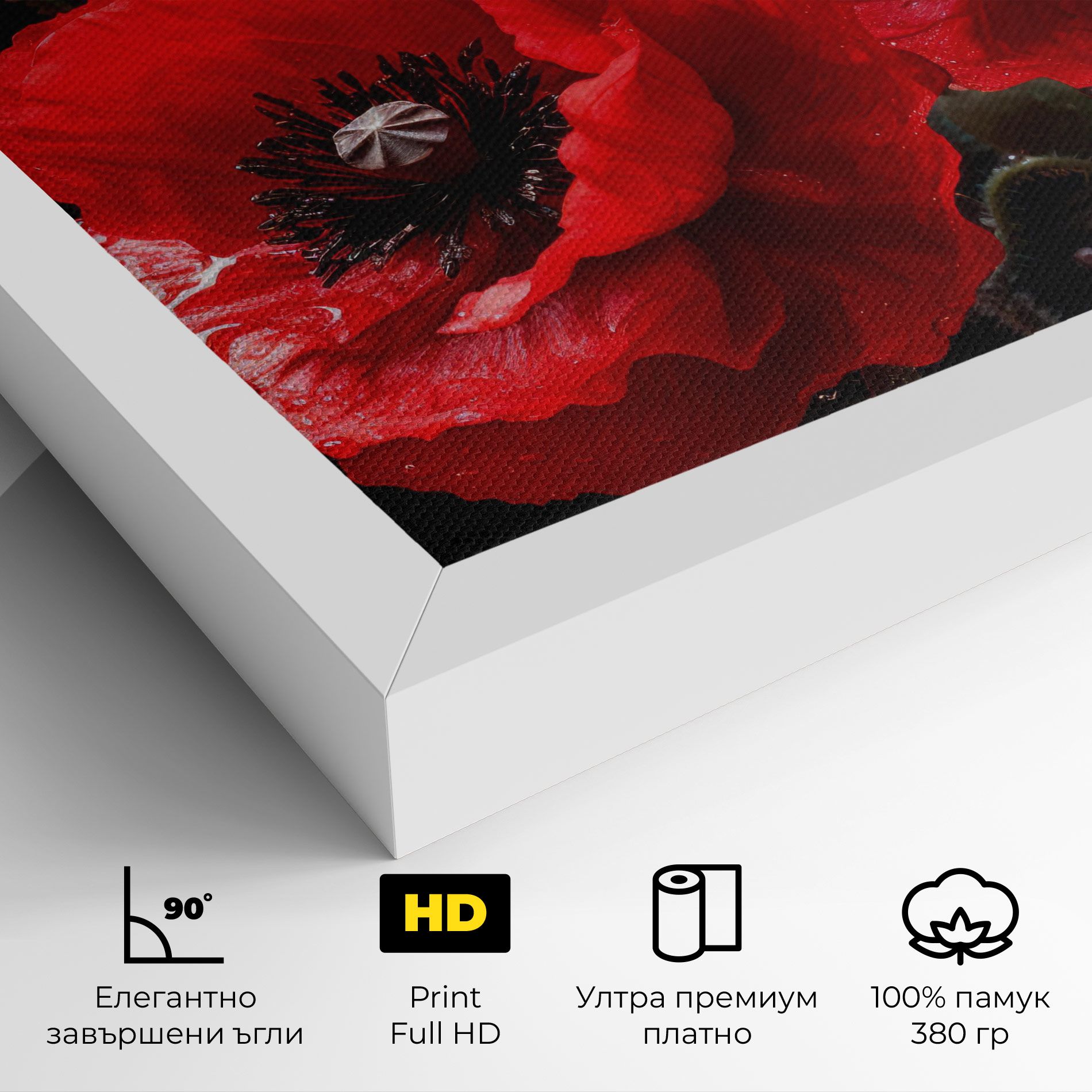 Red Poppy mockup 4