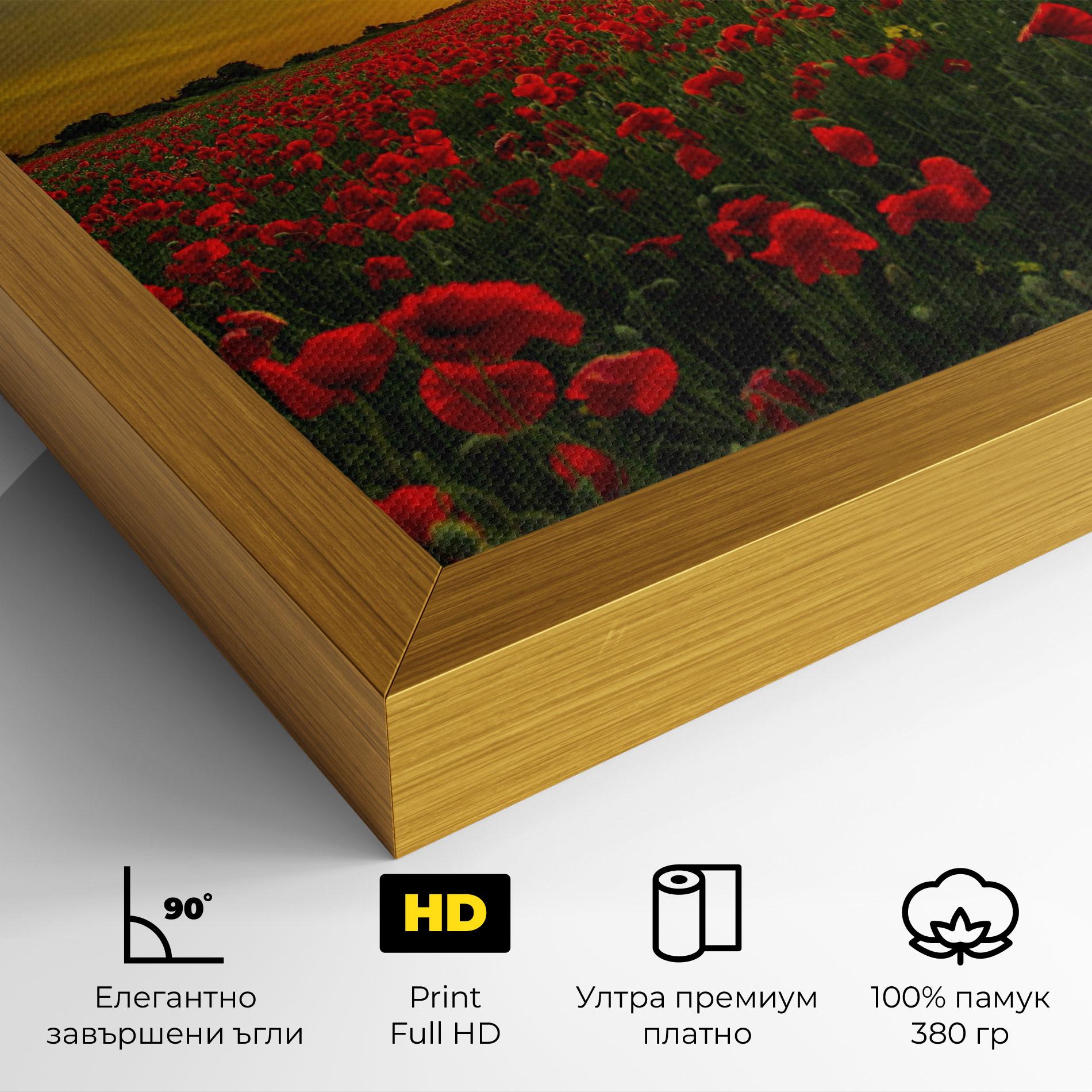 Картина на платно Poppies Sunset mockup 4