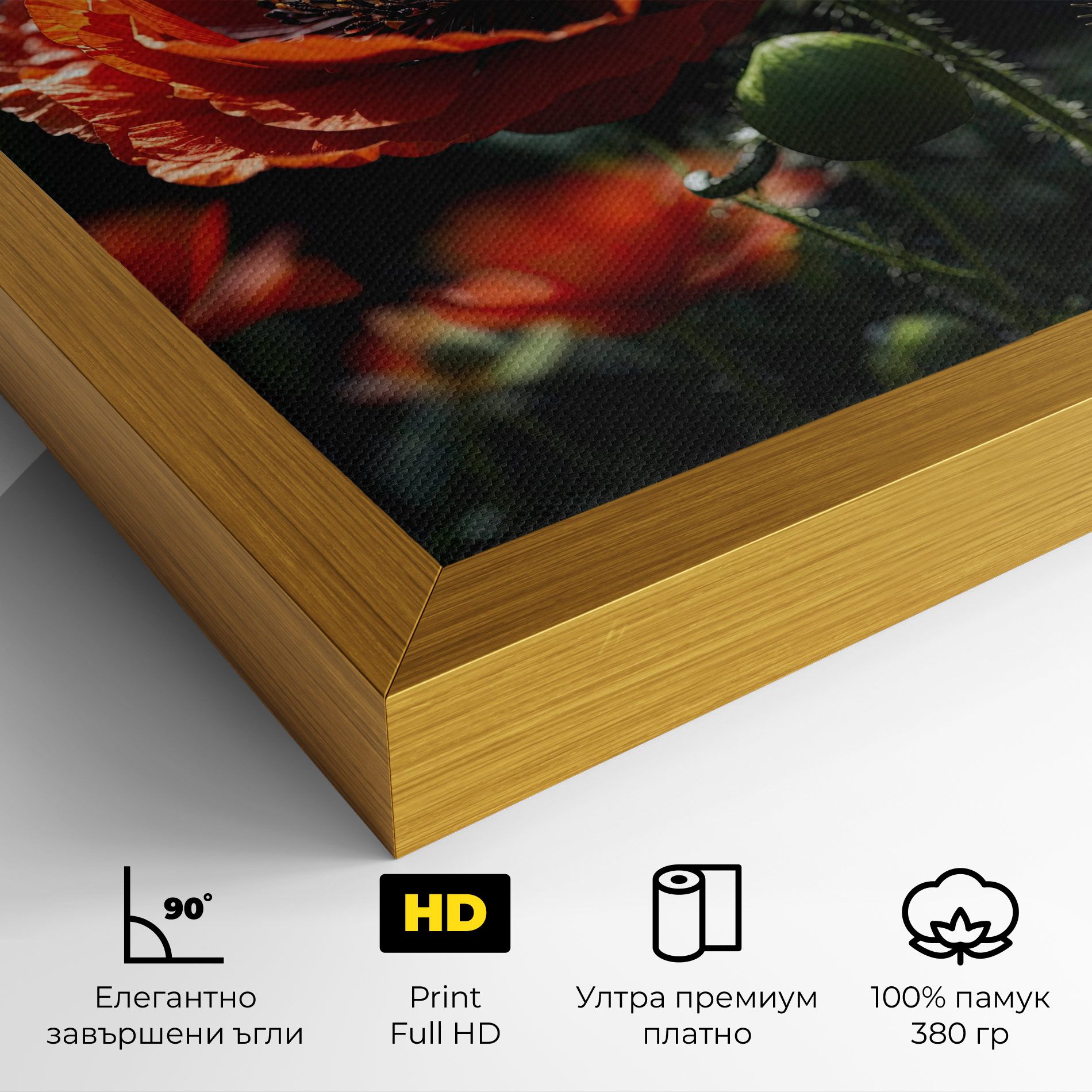 Red Poppy Close Up mockup 4